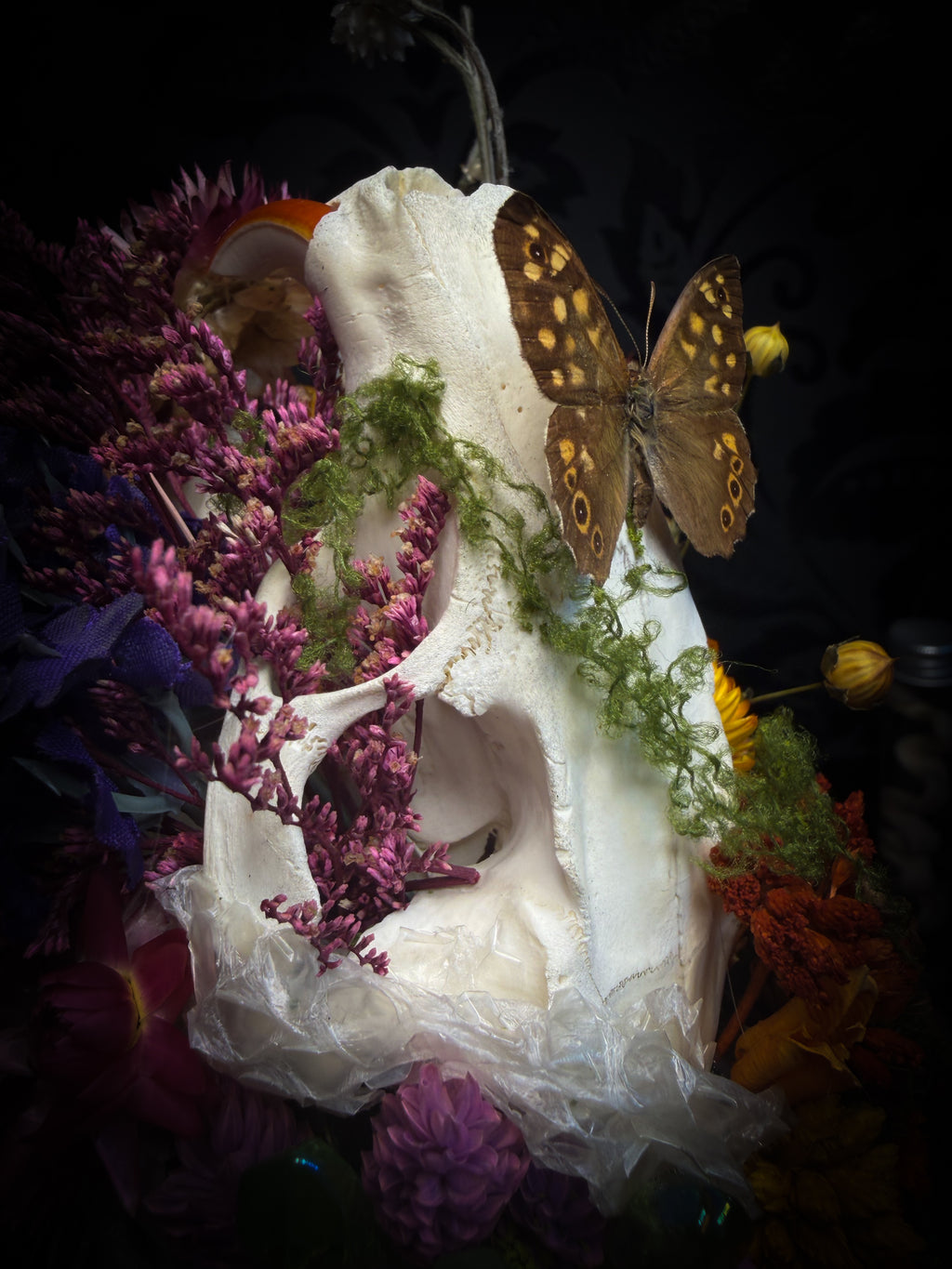 Handmade whimsical glass dome with nutria skull, Speckled Wood butterfly, summer and autumn botanicals, carved pumpkin and fluorite — Crossroads by Morbid Oddities