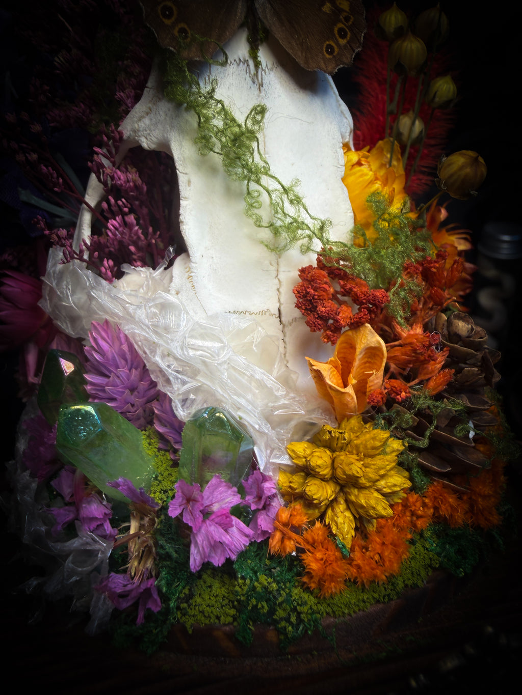 Handmade whimsical glass dome with nutria skull, Speckled Wood butterfly, summer and autumn botanicals, carved pumpkin and fluorite — Crossroads by Morbid Oddities