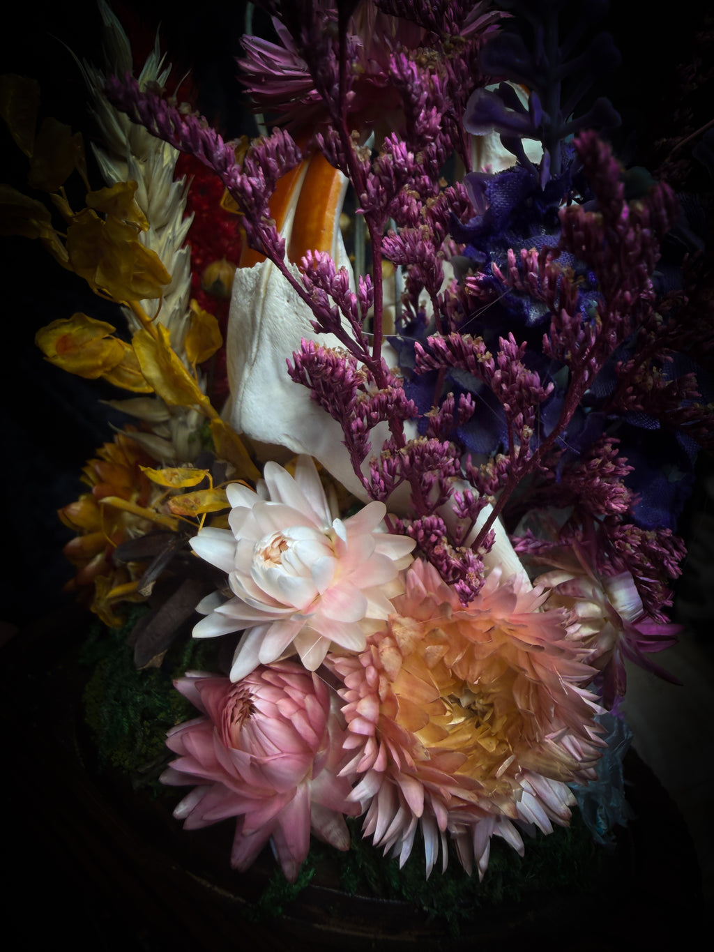 Handmade whimsical glass dome with nutria skull, Speckled Wood butterfly, summer and autumn botanicals, carved pumpkin and fluorite — Crossroads by Morbid Oddities