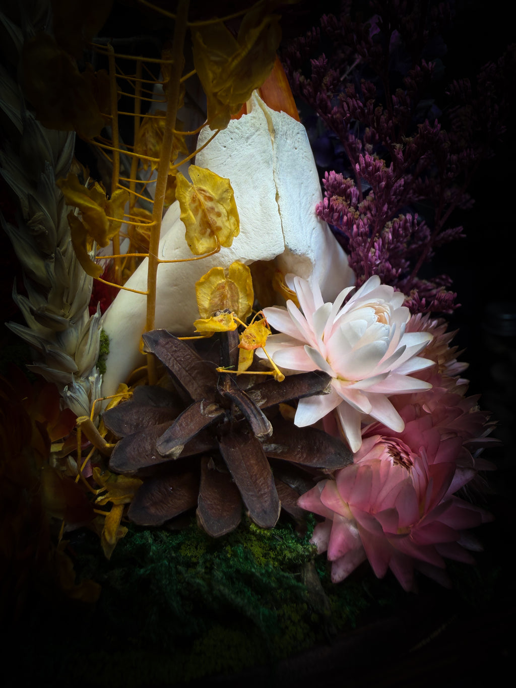 Handmade whimsical glass dome with nutria skull, Speckled Wood butterfly, summer and autumn botanicals, carved pumpkin and fluorite — Crossroads by Morbid Oddities
