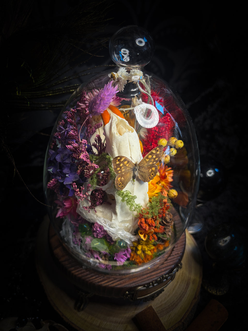 Handmade whimsical glass dome with nutria skull, Speckled Wood butterfly, summer and autumn botanicals, carved pumpkin and fluorite — Crossroads by Morbid Oddities