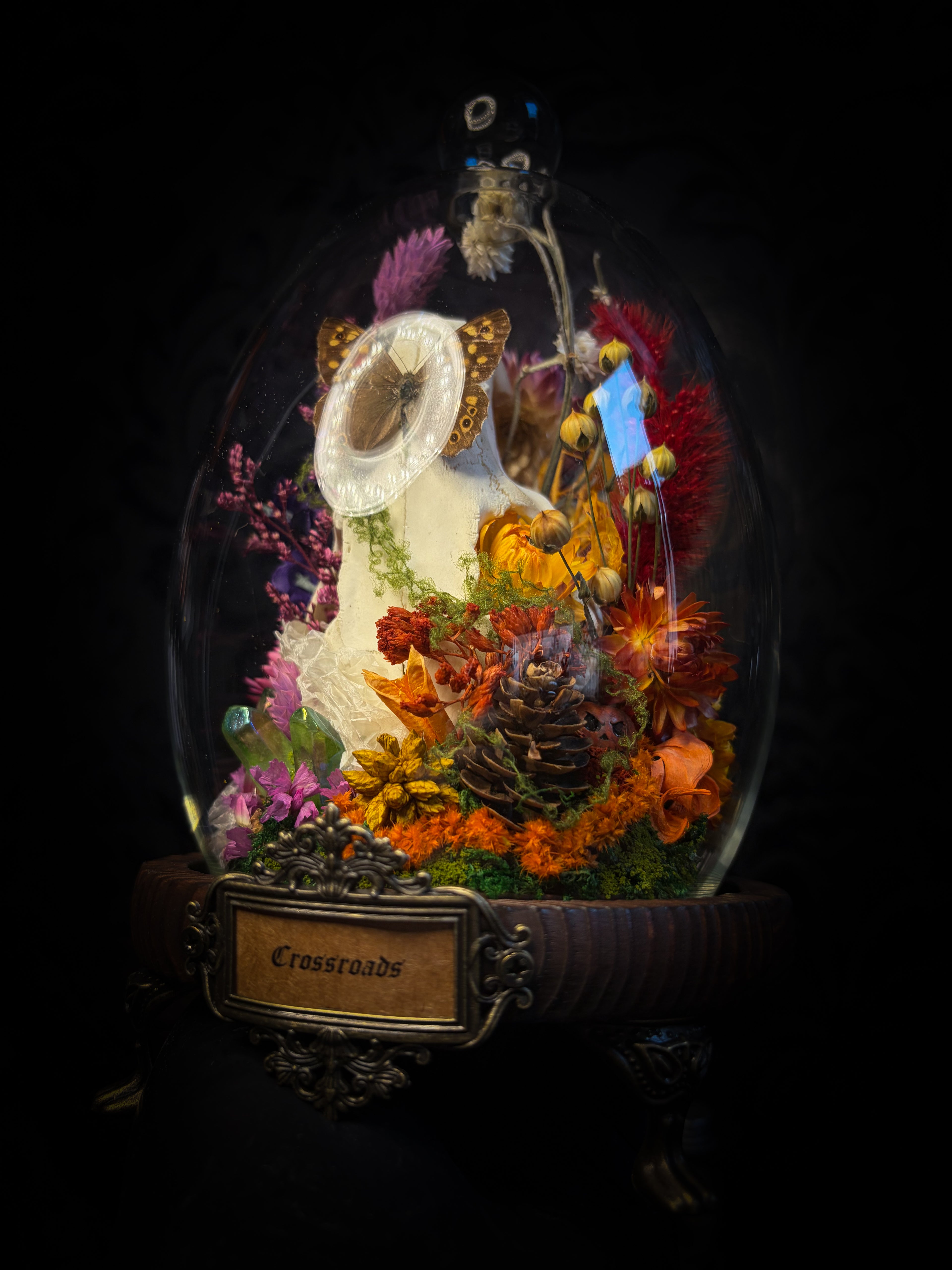 Handmade whimsical glass dome with nutria skull, Speckled Wood butterfly, summer and autumn botanicals, carved pumpkin and fluorite — Crossroads by Morbid Oddities