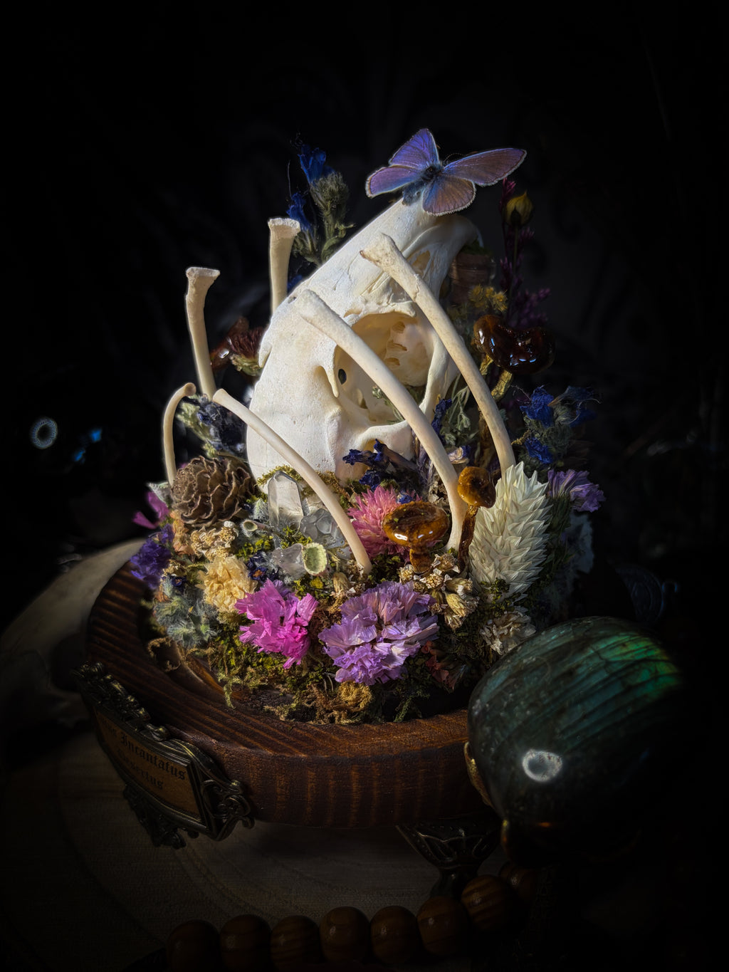 Lucus Incantatus Desertus — handmade glass dome with young rabbit skull holding a spell jar, Common Blue butterfly resting on the skull's nose, surrounded by dried carnations, cornflowers, artichoke, moss and miniature mushrooms. Whimsical witchy decor by Morbid Oddities.