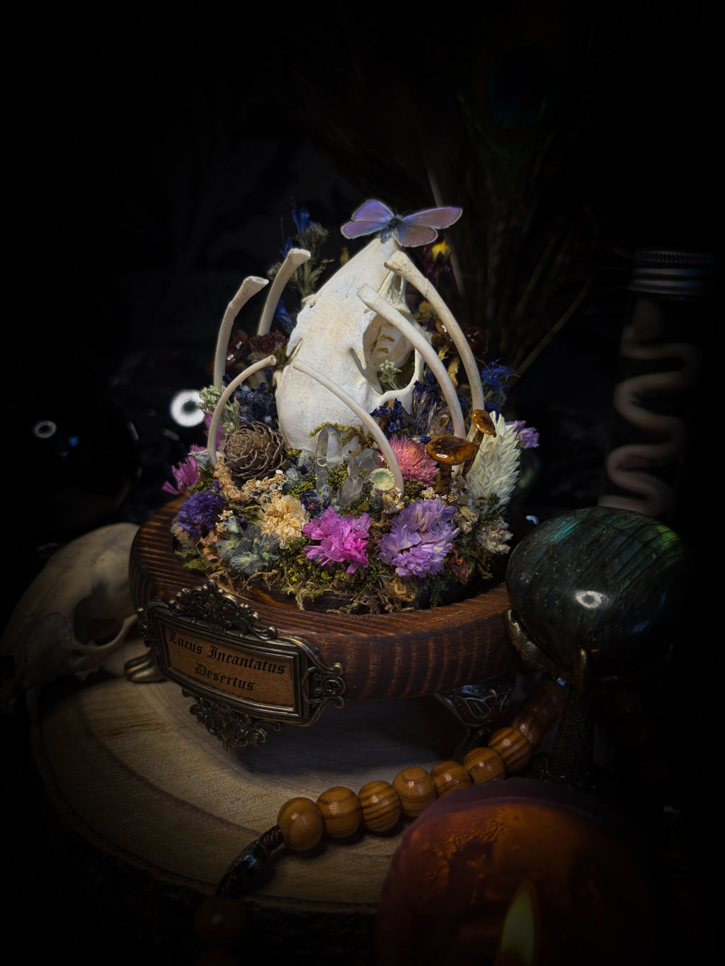 Lucus Incantatus Desertus — handmade glass dome with young rabbit skull holding a spell jar, Common Blue butterfly resting on the skull's nose, surrounded by dried carnations, cornflowers, artichoke, moss and miniature mushrooms. Whimsical witchy decor by Morbid Oddities.