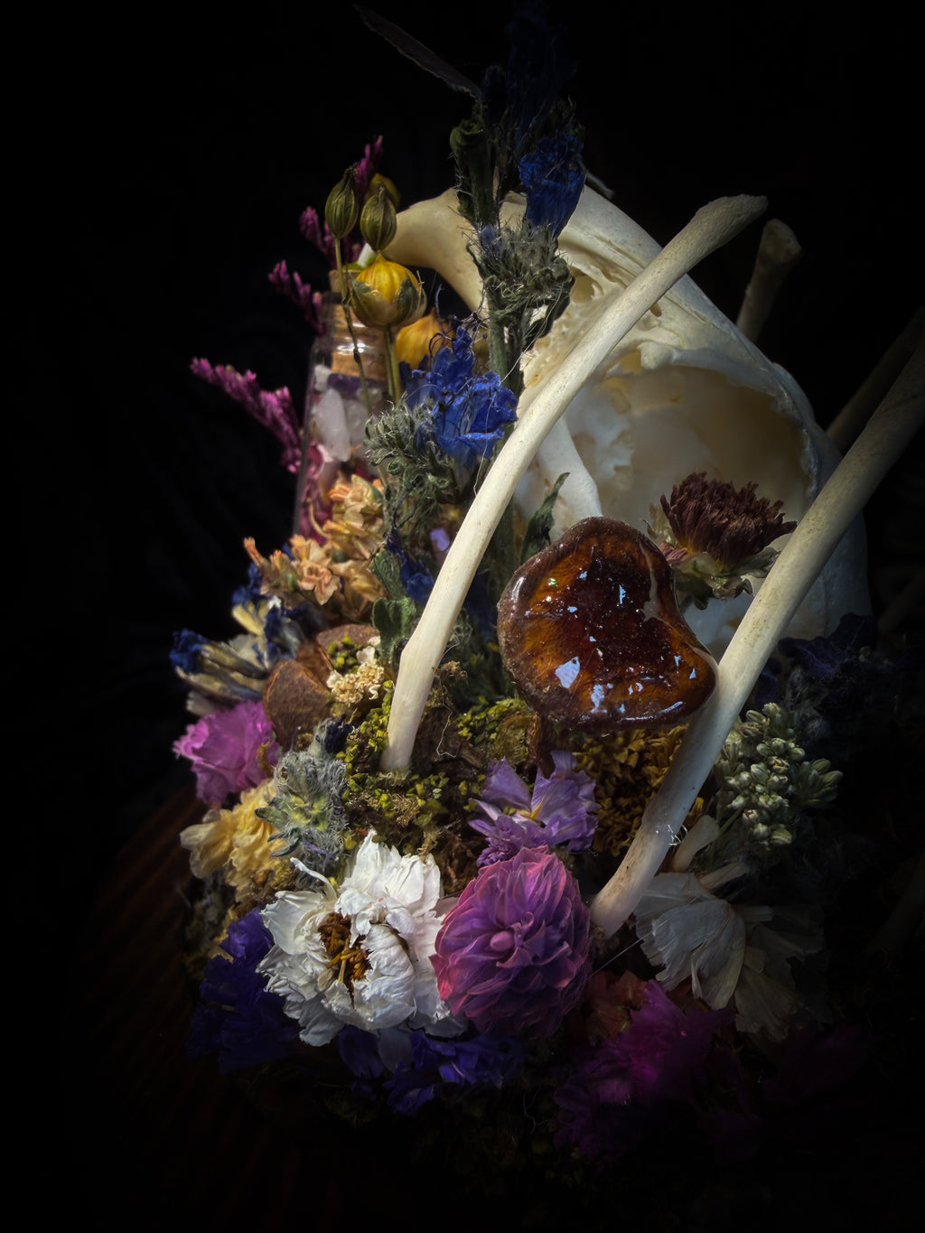 Lucus Incantatus Desertus — handmade glass dome with young rabbit skull holding a spell jar, Common Blue butterfly resting on the skull's nose, surrounded by dried carnations, cornflowers, artichoke, moss and miniature mushrooms. Whimsical witchy decor by Morbid Oddities.