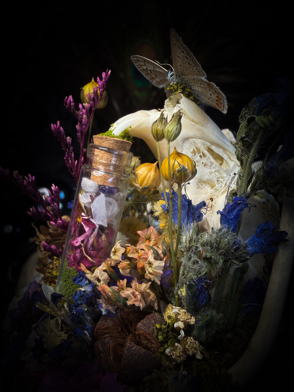 Lucus Incantatus Desertus — handmade glass dome with young rabbit skull holding a spell jar, Common Blue butterfly resting on the skull's nose, surrounded by dried carnations, cornflowers, artichoke, moss and miniature mushrooms. Whimsical witchy decor by Morbid Oddities.