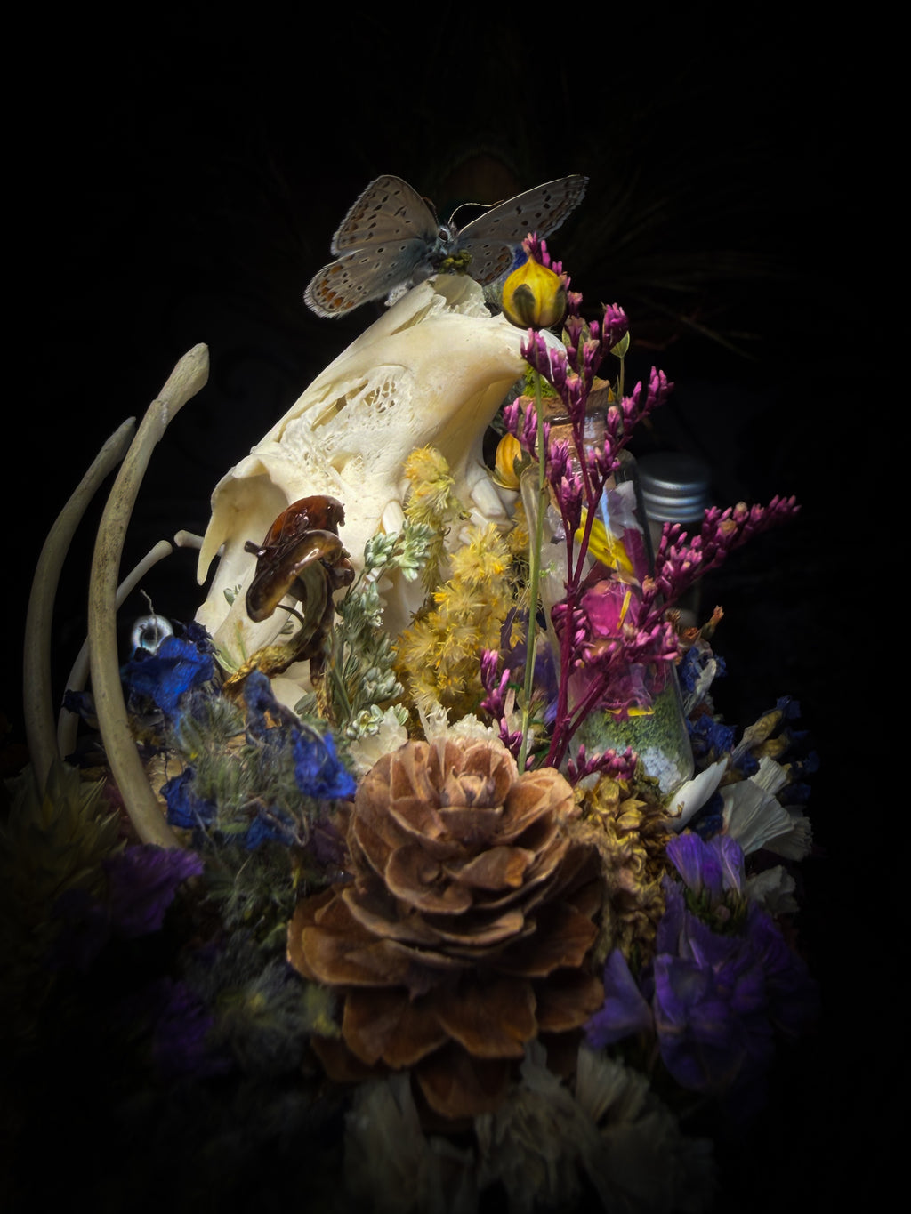 Lucus Incantatus Desertus — handmade glass dome with young rabbit skull holding a spell jar, Common Blue butterfly resting on the skull's nose, surrounded by dried carnations, cornflowers, artichoke, moss and miniature mushrooms. Whimsical witchy decor by Morbid Oddities.