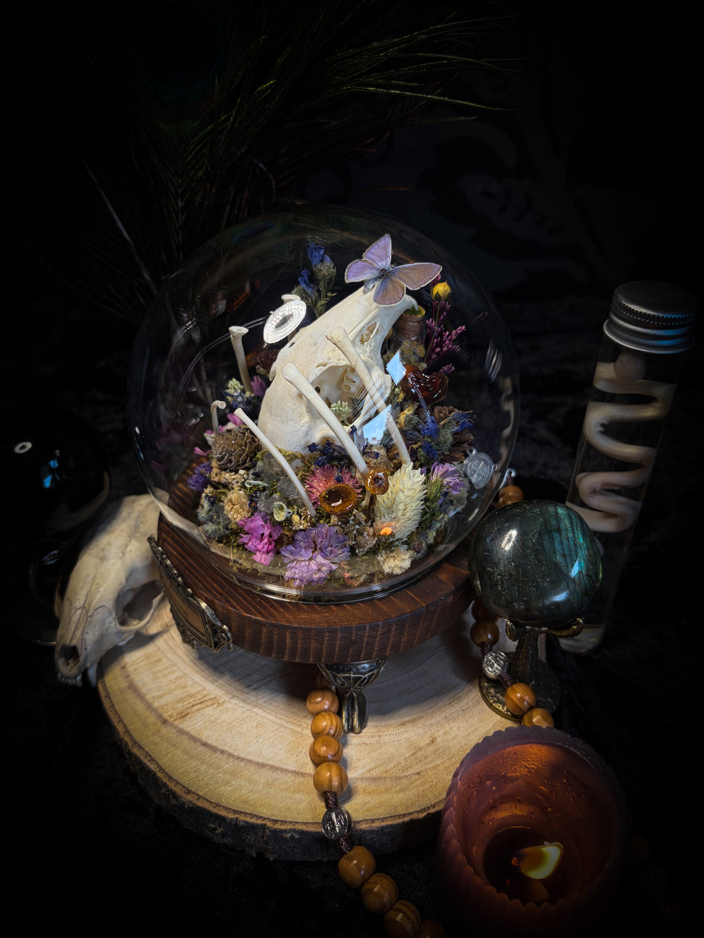Lucus Incantatus Desertus — handmade glass dome with young rabbit skull holding a spell jar, Common Blue butterfly resting on the skull's nose, surrounded by dried carnations, cornflowers, artichoke, moss and miniature mushrooms. Whimsical witchy decor by Morbid Oddities.