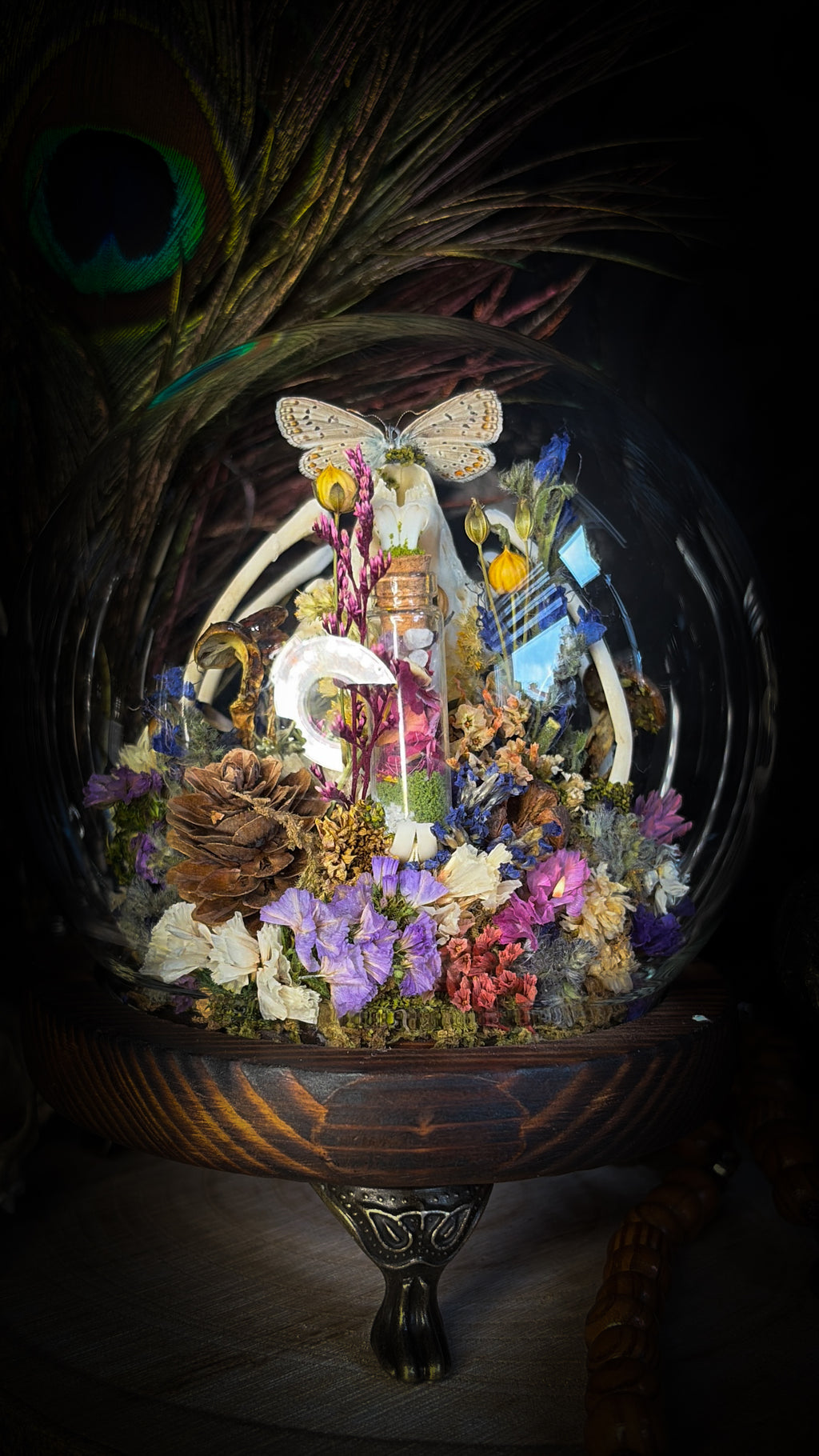 Lucus Incantatus Desertus — handmade glass dome with young rabbit skull holding a spell jar, Common Blue butterfly resting on the skull's nose, surrounded by dried carnations, cornflowers, artichoke, moss and miniature mushrooms. Whimsical witchy decor by Morbid Oddities.