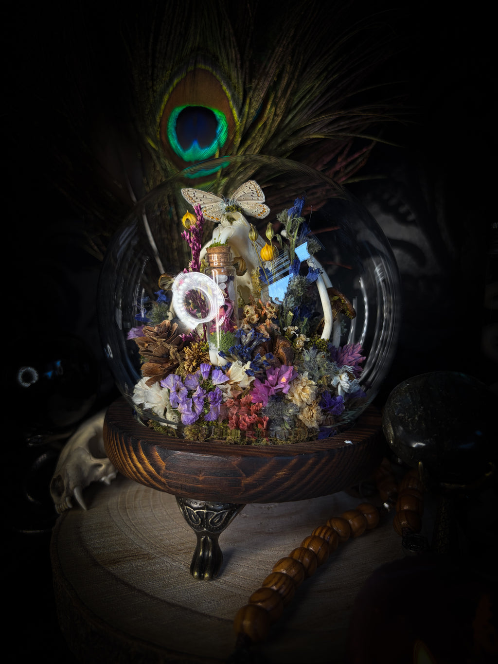 Lucus Incantatus Desertus — handmade glass dome with young rabbit skull holding a spell jar, Common Blue butterfly resting on the skull's nose, surrounded by dried carnations, cornflowers, artichoke, moss and miniature mushrooms. Whimsical witchy decor by Morbid Oddities.
