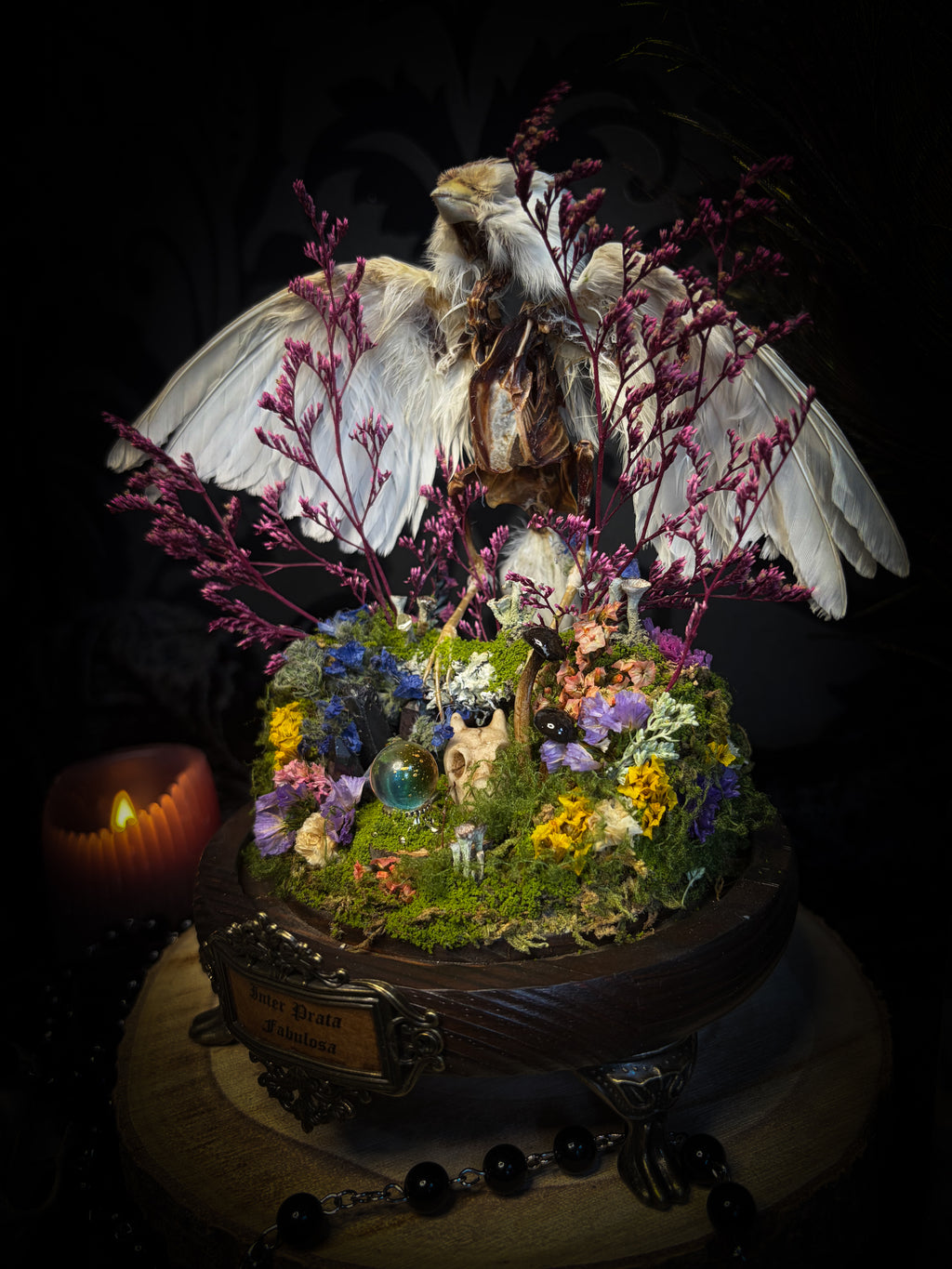 Inter Prata Fabulosa — handmade whimsical glass dome with mummified canary, crystal orb, dragon skull, wizard's hat, rolled scrolls and botanical arrangement. Morbid Oddities.