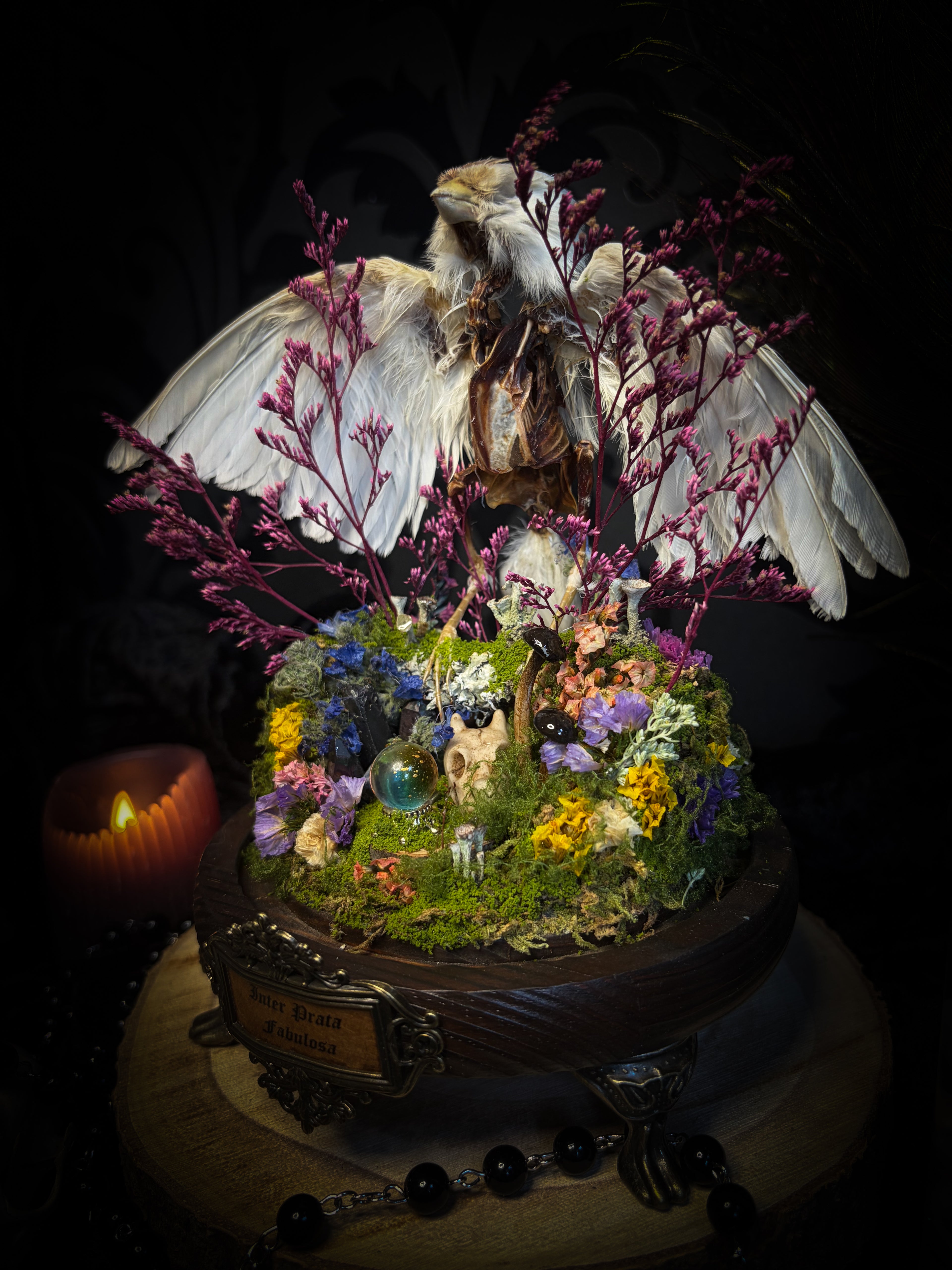 Inter Prata Fabulosa — handmade whimsical glass dome with mummified canary, crystal orb, dragon skull, wizard's hat, rolled scrolls and botanical arrangement. Morbid Oddities.