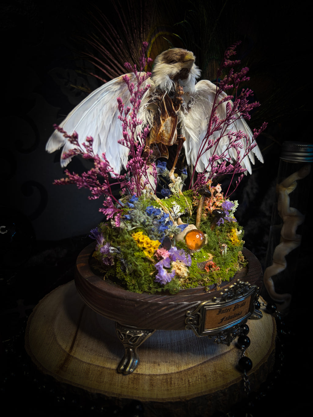 Inter Prata Fabulosa — handmade whimsical glass dome with mummified canary, crystal orb, dragon skull, wizard's hat, rolled scrolls and botanical arrangement. Morbid Oddities.