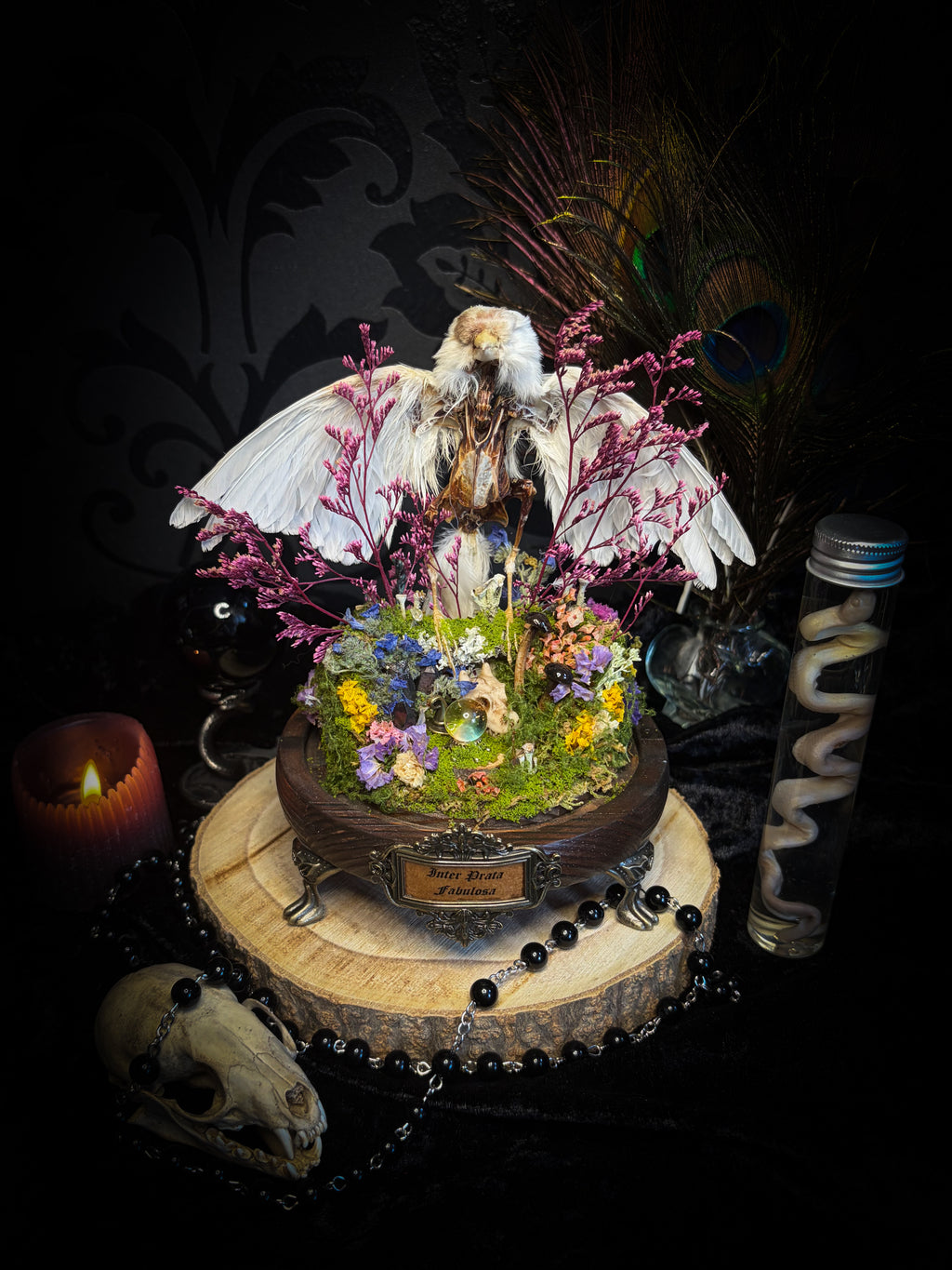 Inter Prata Fabulosa — handmade whimsical glass dome with mummified canary, crystal orb, dragon skull, wizard's hat, rolled scrolls and botanical arrangement. Morbid Oddities.