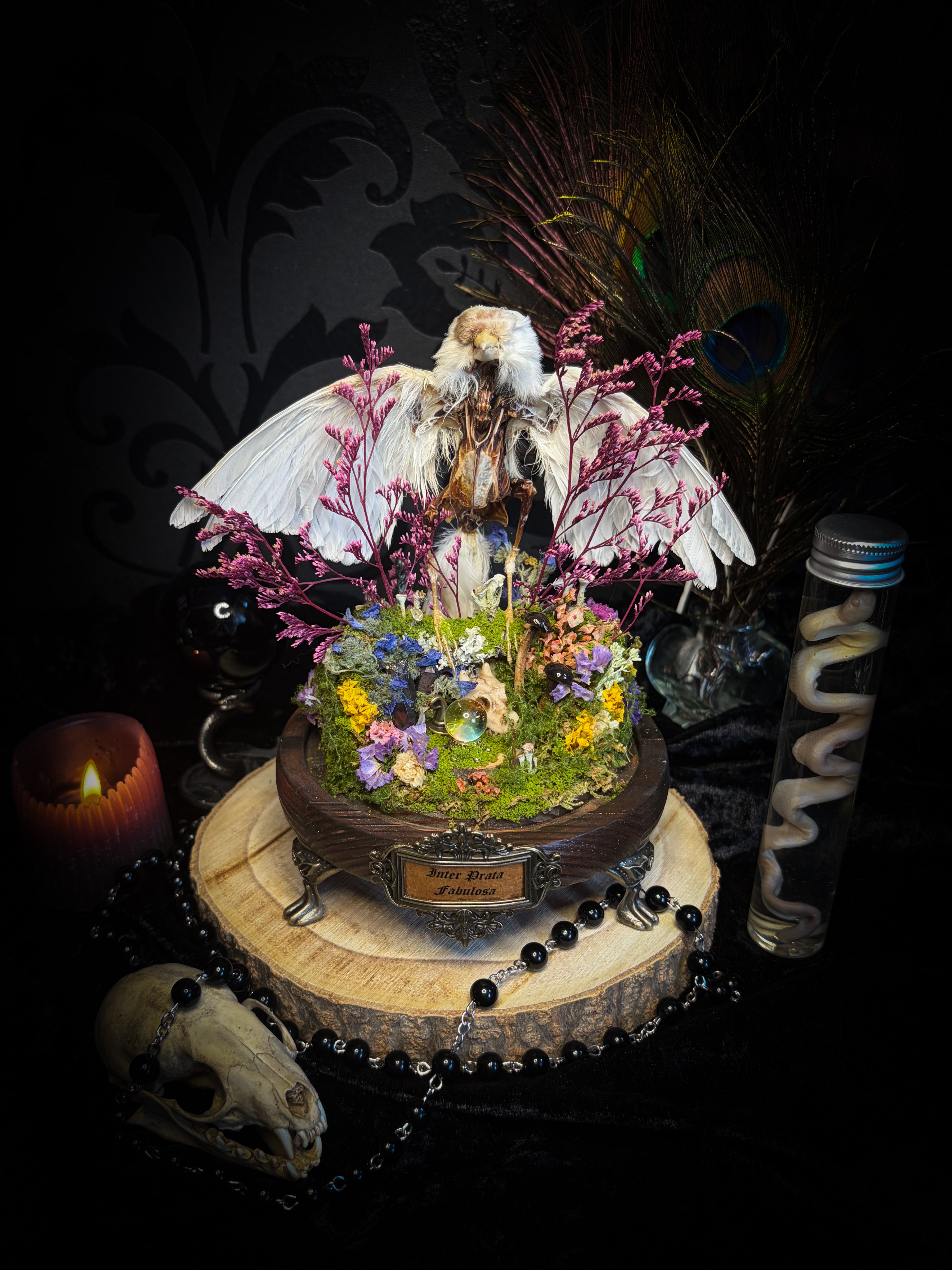 Inter Prata Fabulosa — handmade whimsical glass dome with mummified canary, crystal orb, dragon skull, wizard's hat, rolled scrolls and botanical arrangement. Morbid Oddities.