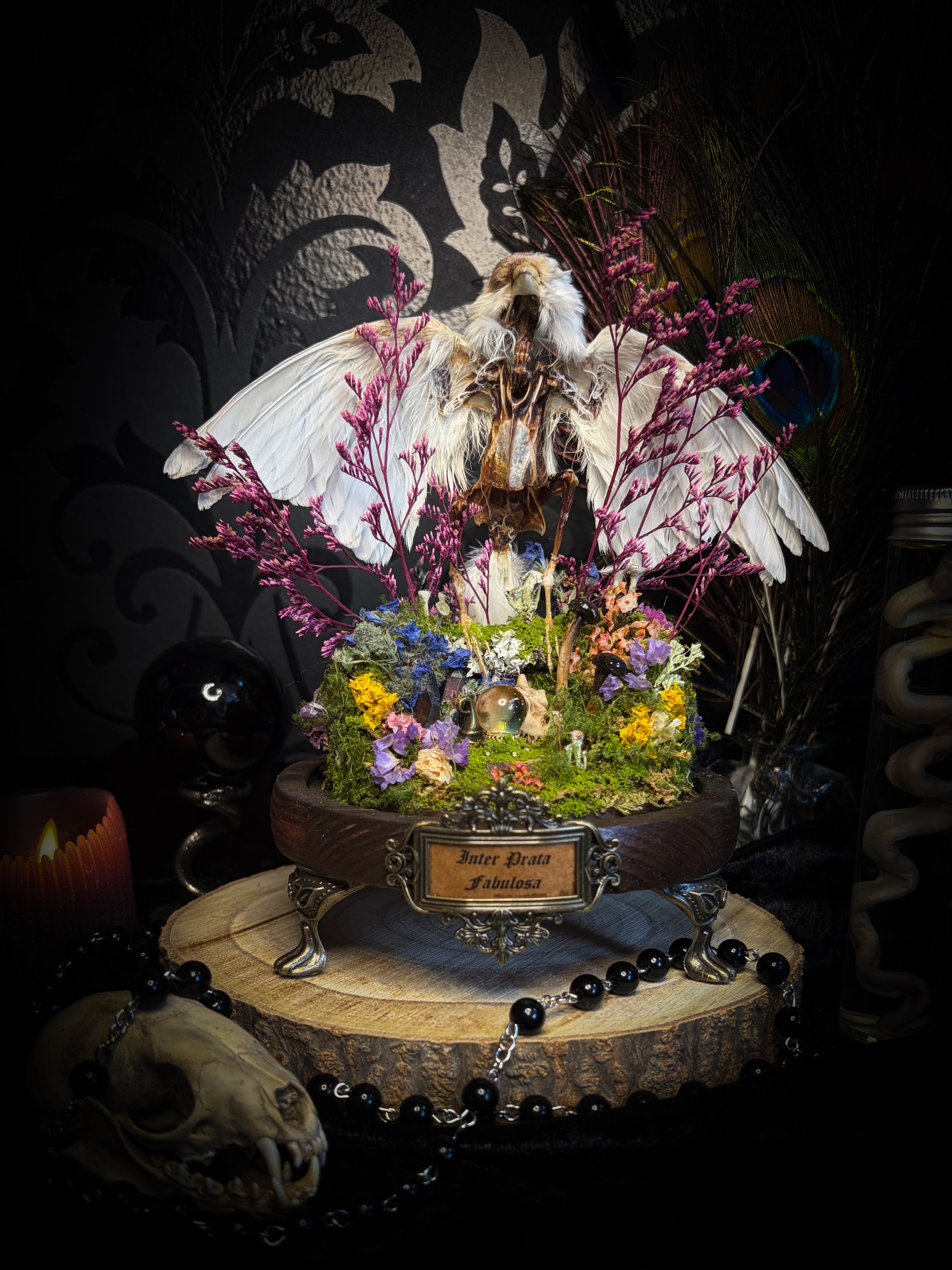 Inter Prata Fabulosa — handmade whimsical glass dome with mummified canary, crystal orb, dragon skull, wizard's hat, rolled scrolls and botanical arrangement. Morbid Oddities.