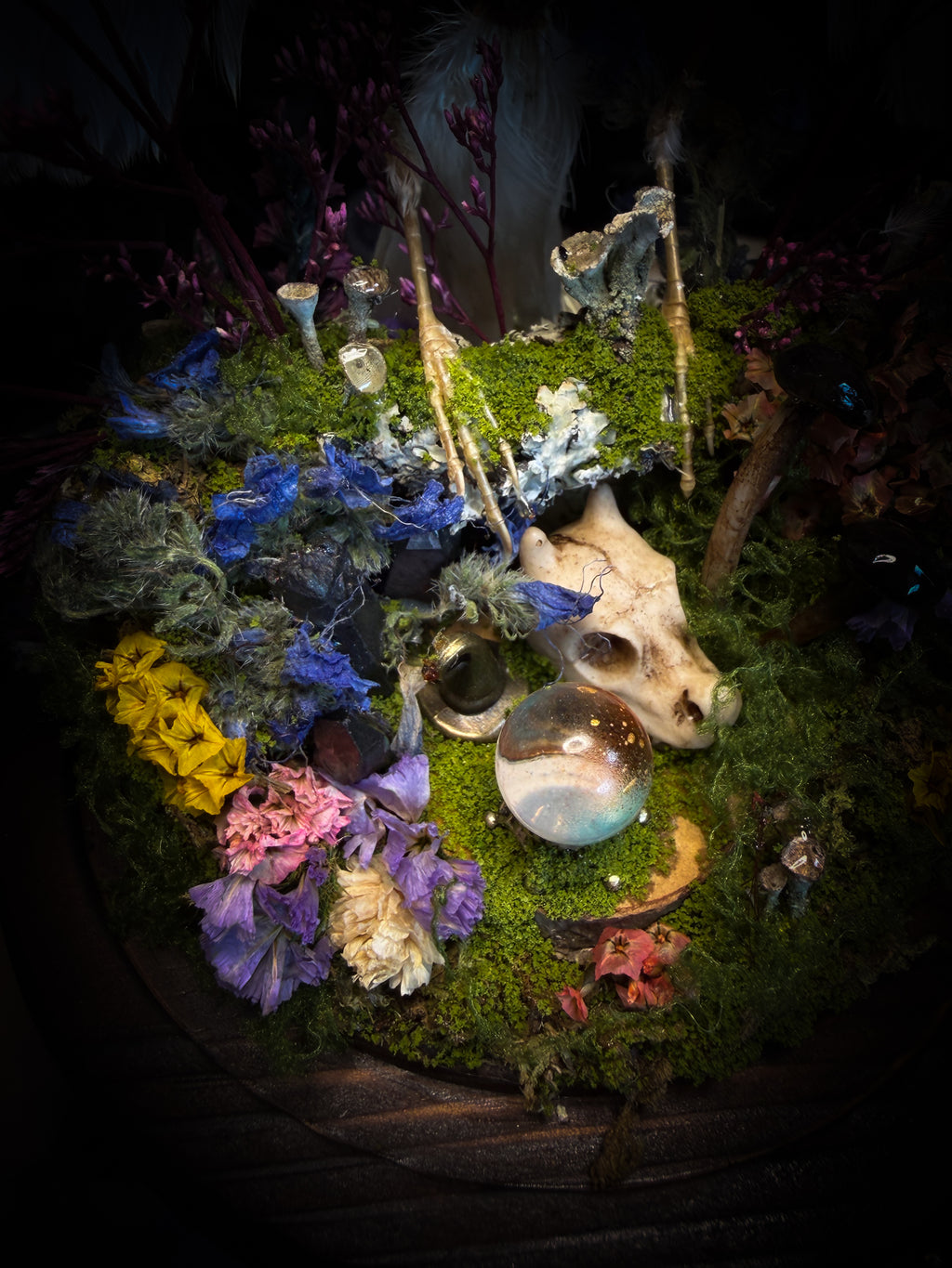 Inter Prata Fabulosa — handmade whimsical glass dome with mummified canary, crystal orb, dragon skull, wizard's hat, rolled scrolls and botanical arrangement. Morbid Oddities.