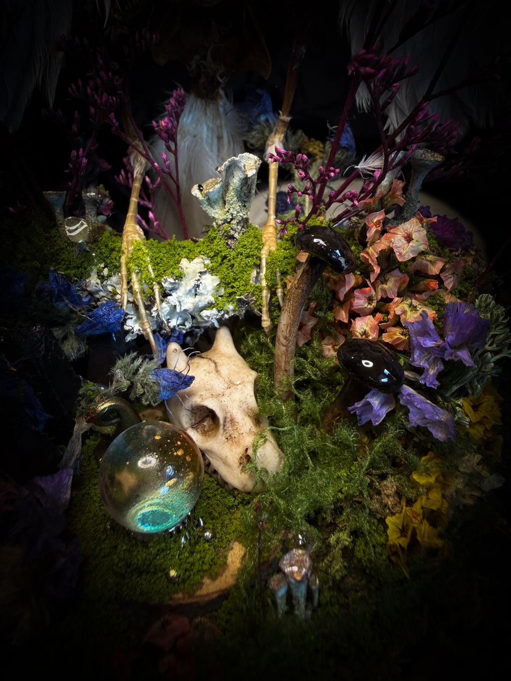 Inter Prata Fabulosa — handmade whimsical glass dome with mummified canary, crystal orb, dragon skull, wizard's hat, rolled scrolls and botanical arrangement. Morbid Oddities.