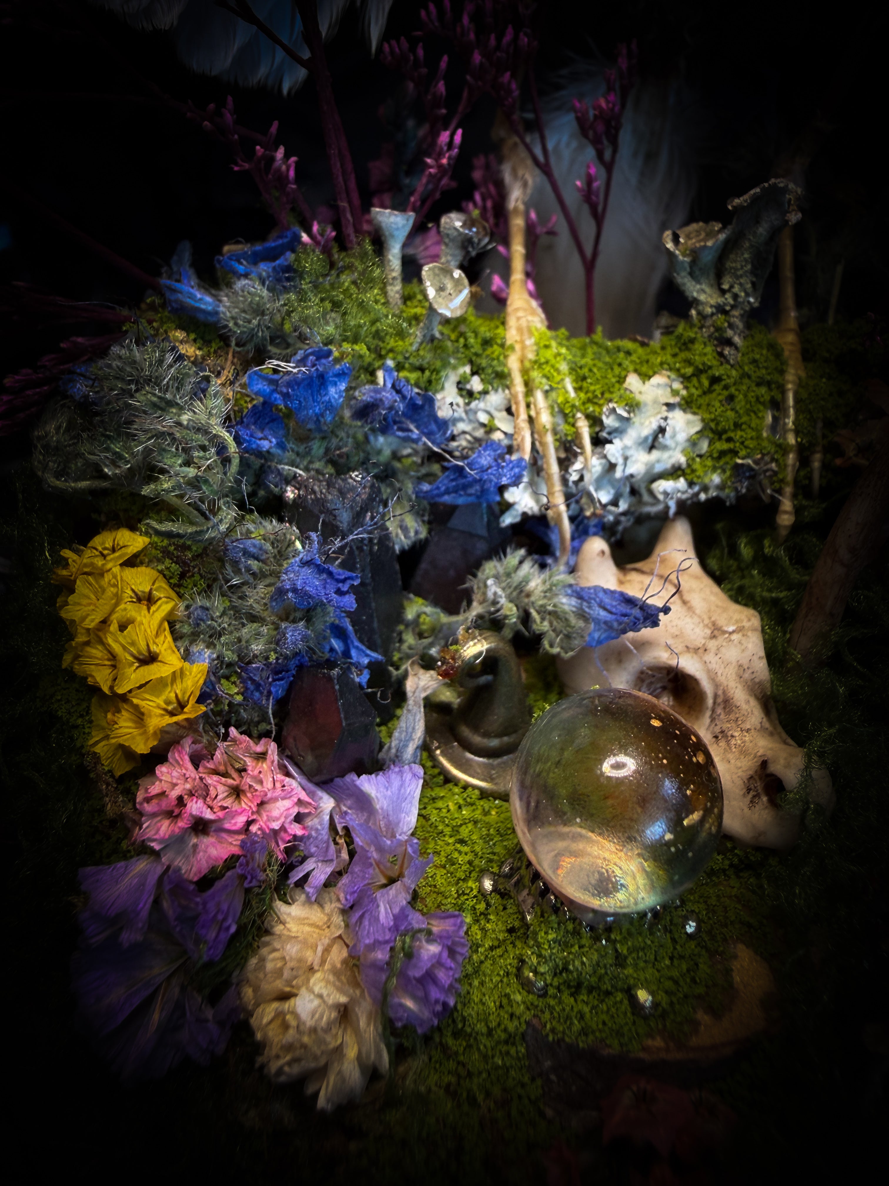 Inter Prata Fabulosa — handmade whimsical glass dome with mummified canary, crystal orb, dragon skull, wizard's hat, rolled scrolls and botanical arrangement. Morbid Oddities.