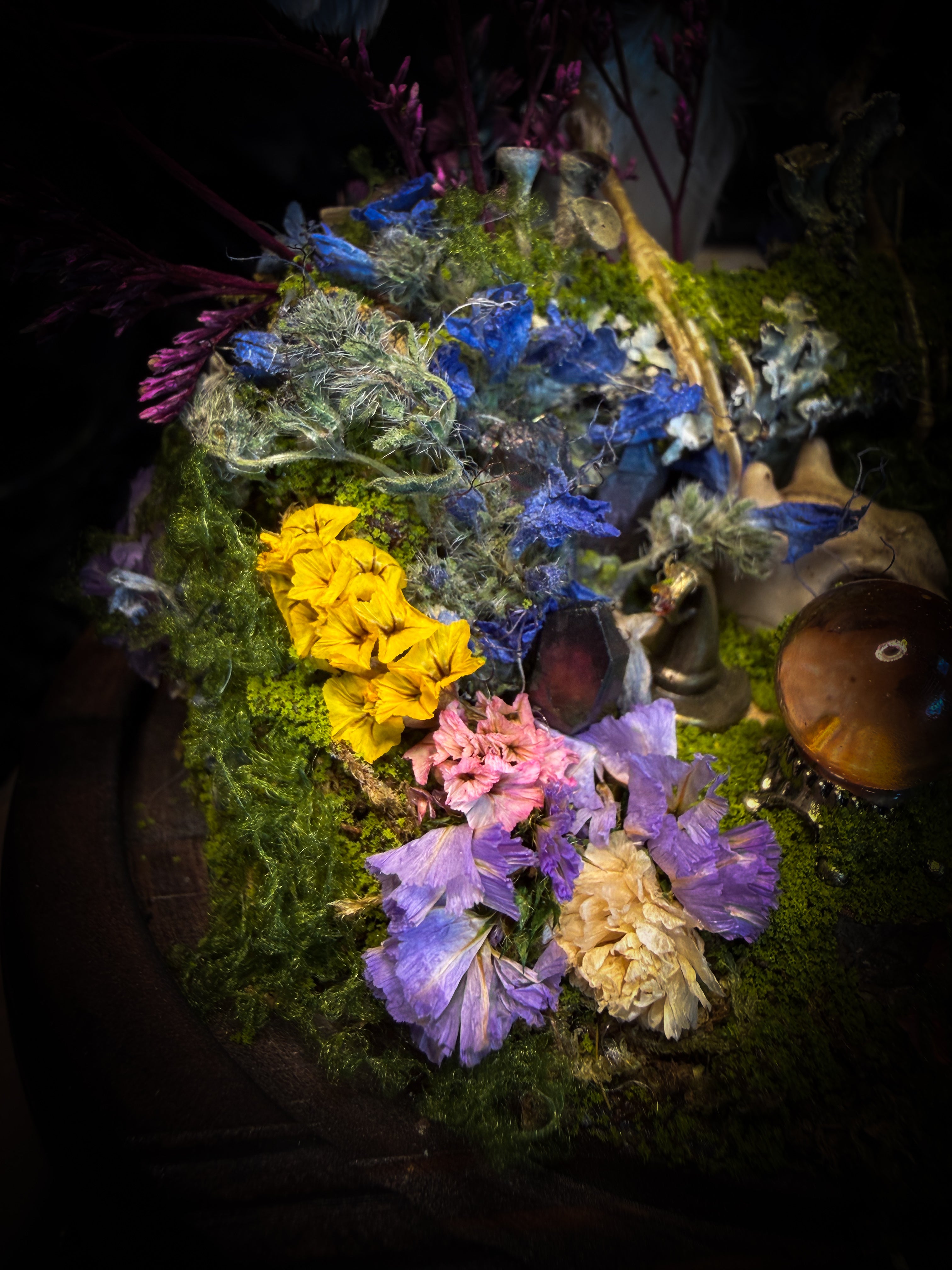 Inter Prata Fabulosa — handmade whimsical glass dome with mummified canary, crystal orb, dragon skull, wizard's hat, rolled scrolls and botanical arrangement. Morbid Oddities.