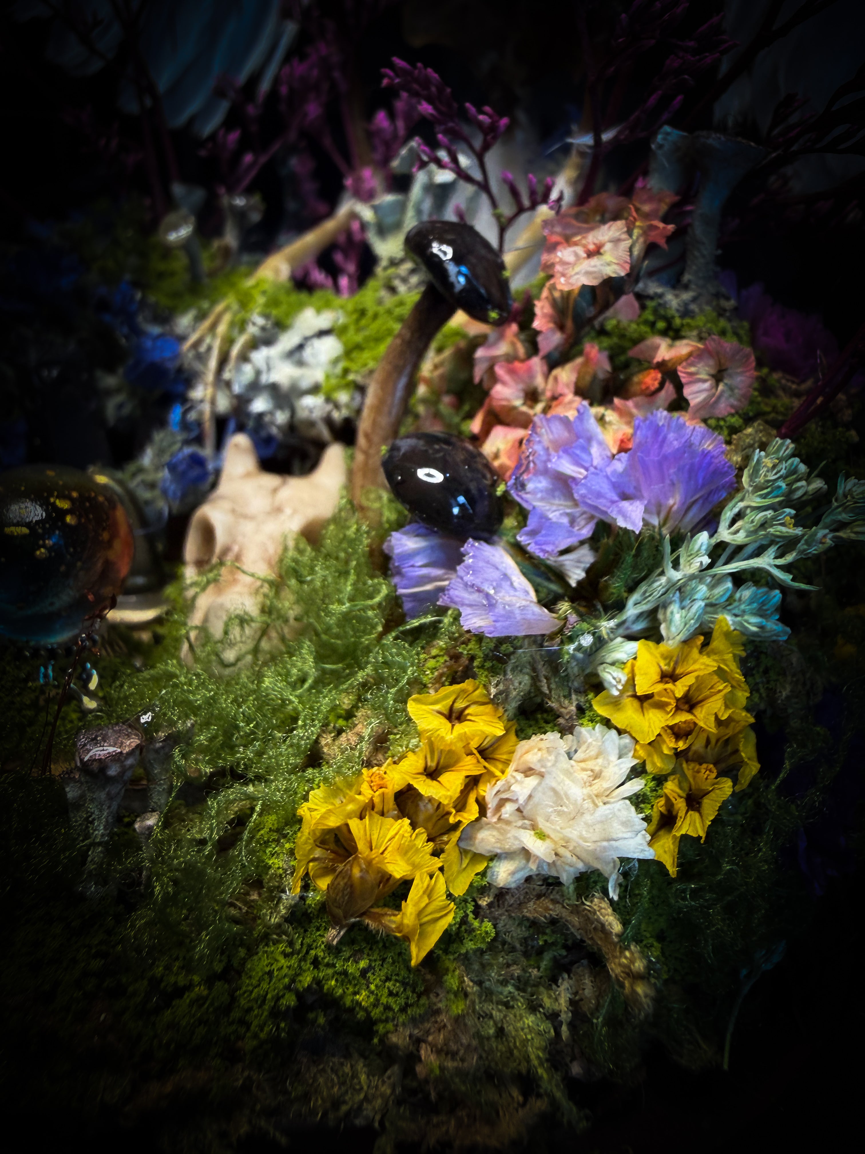 Inter Prata Fabulosa — handmade whimsical glass dome with mummified canary, crystal orb, dragon skull, wizard's hat, rolled scrolls and botanical arrangement. Morbid Oddities.