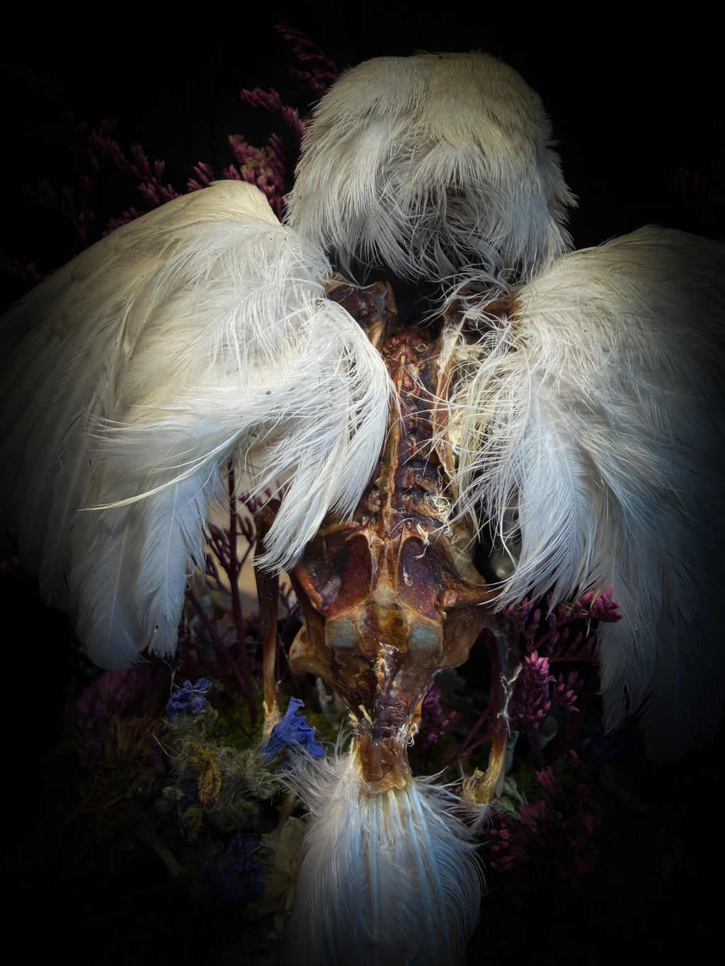 Inter Prata Fabulosa — handmade whimsical glass dome with mummified canary, crystal orb, dragon skull, wizard's hat, rolled scrolls and botanical arrangement. Morbid Oddities.