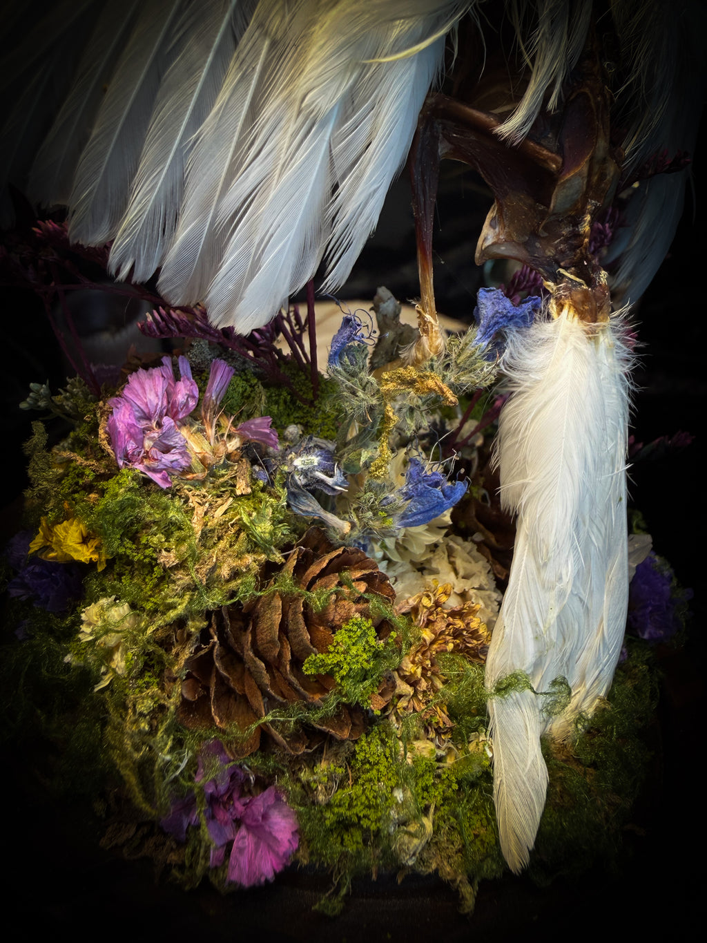Inter Prata Fabulosa — handmade whimsical glass dome with mummified canary, crystal orb, dragon skull, wizard's hat, rolled scrolls and botanical arrangement. Morbid Oddities.