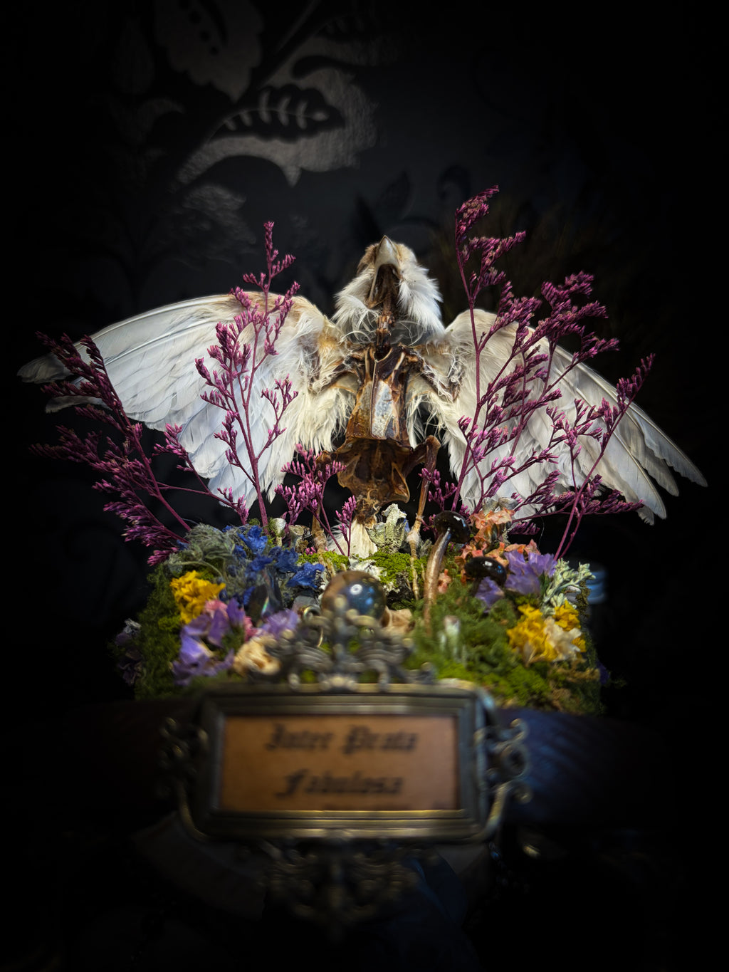 Inter Prata Fabulosa — handmade whimsical glass dome with mummified canary, crystal orb, dragon skull, wizard's hat, rolled scrolls and botanical arrangement. Morbid Oddities.