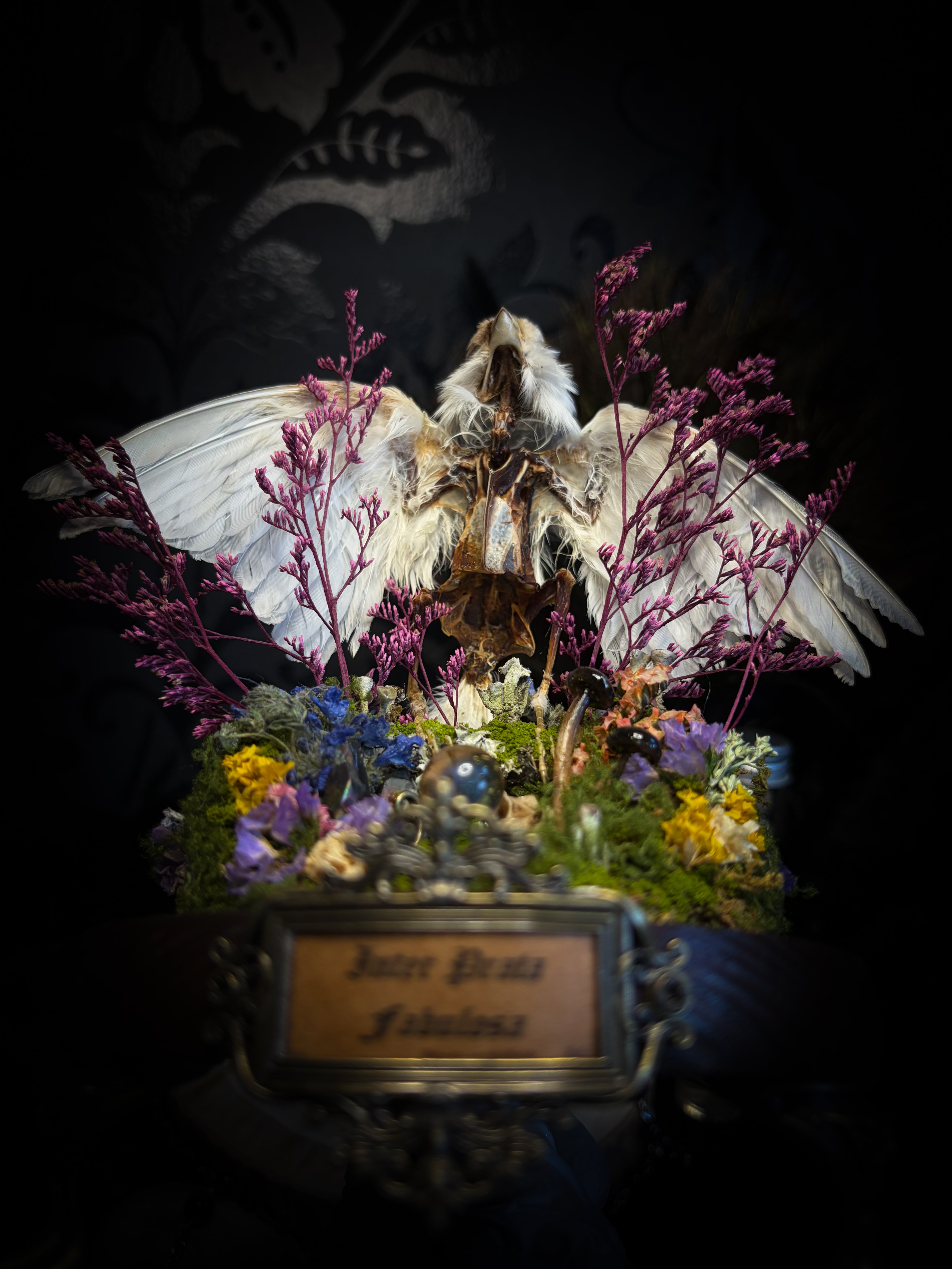 Inter Prata Fabulosa — handmade whimsical glass dome with mummified canary, crystal orb, dragon skull, wizard's hat, rolled scrolls and botanical arrangement. Morbid Oddities.