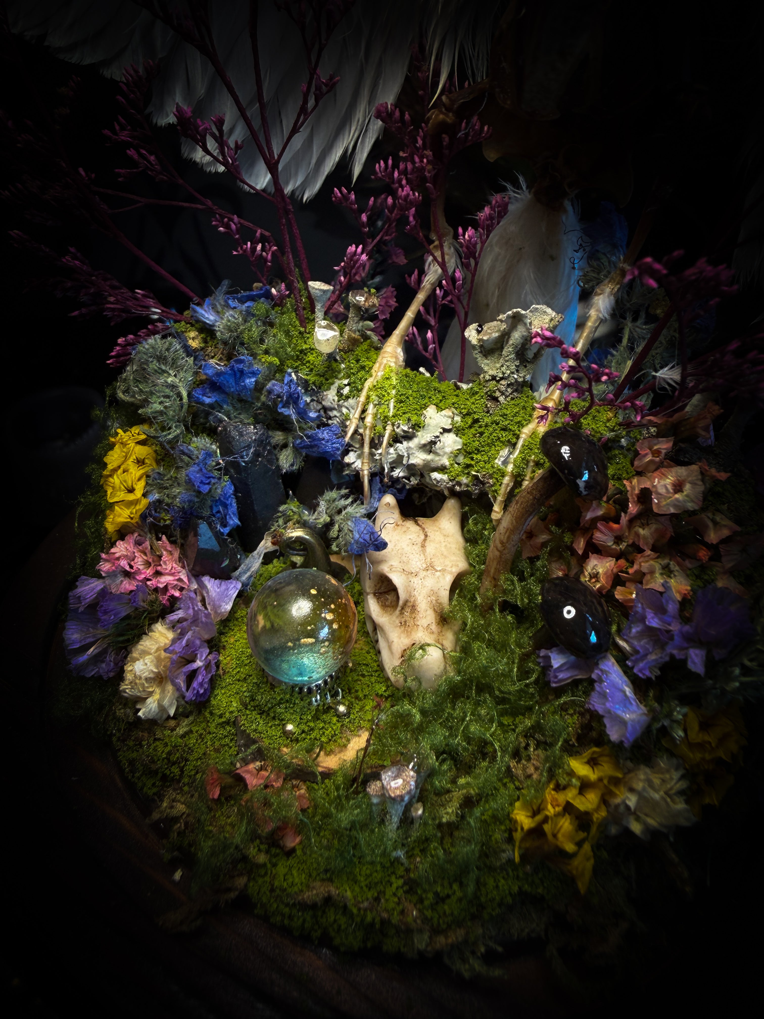 Inter Prata Fabulosa — handmade whimsical glass dome with mummified canary, crystal orb, dragon skull, wizard's hat, rolled scrolls and botanical arrangement. Morbid Oddities.