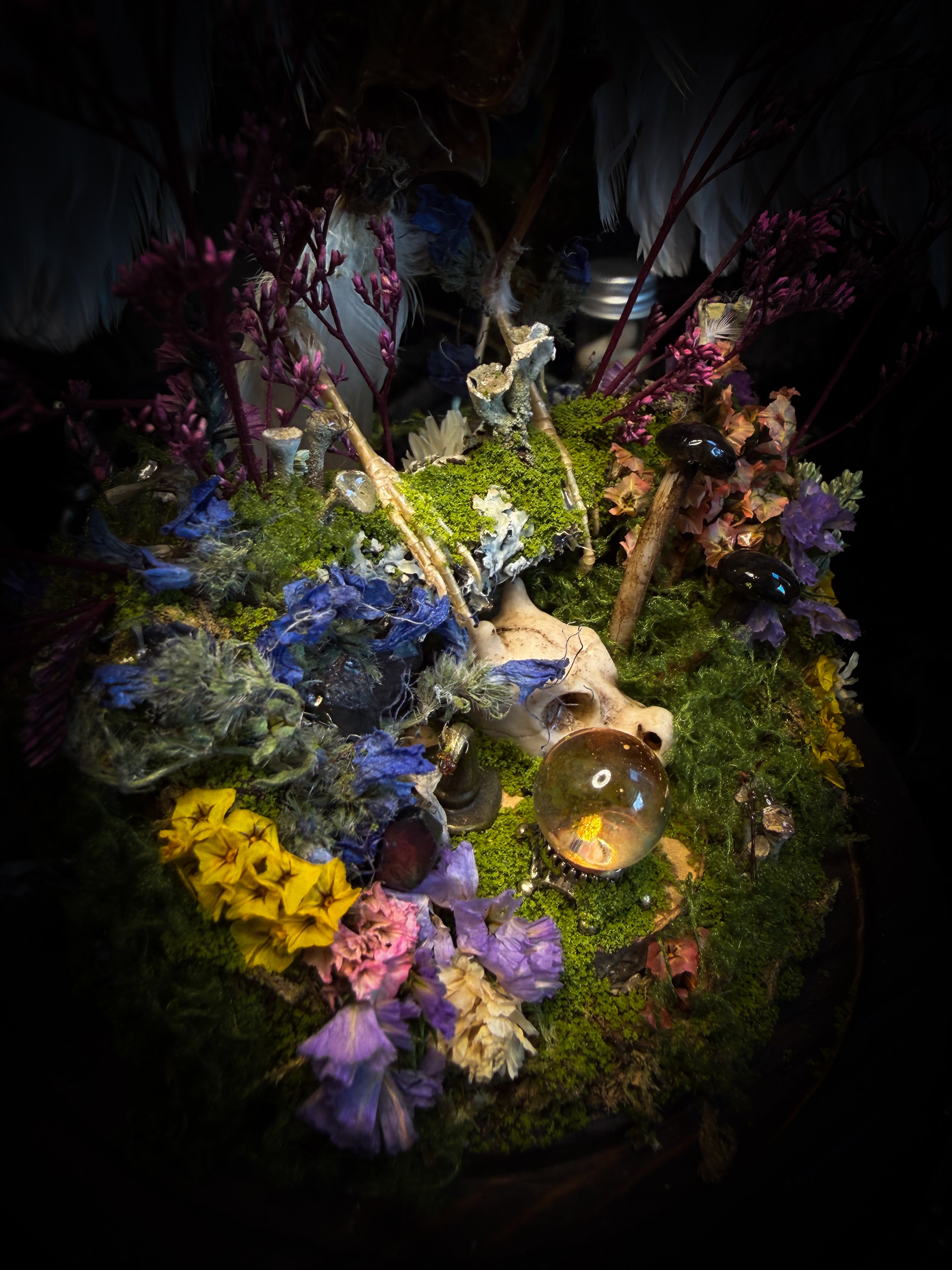 Inter Prata Fabulosa — handmade whimsical glass dome with mummified canary, crystal orb, dragon skull, wizard's hat, rolled scrolls and botanical arrangement. Morbid Oddities.
