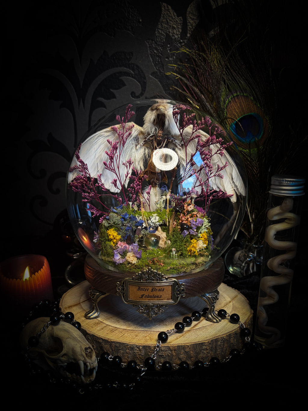 Inter Prata Fabulosa — handmade whimsical glass dome with mummified canary, crystal orb, dragon skull, wizard's hat, rolled scrolls and botanical arrangement. Morbid Oddities.