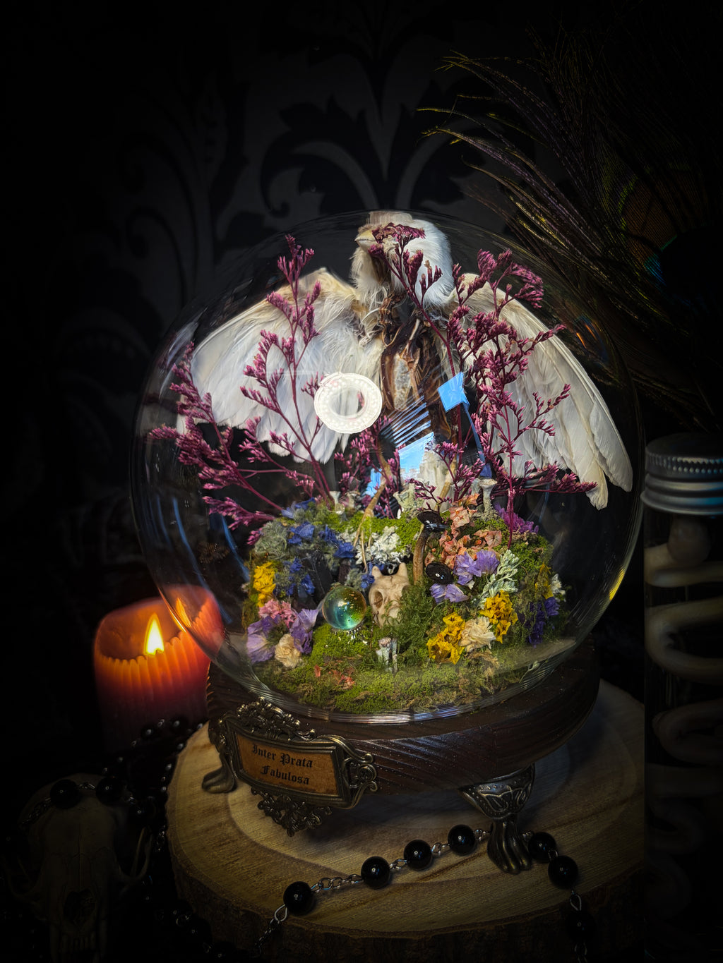 Inter Prata Fabulosa — handmade whimsical glass dome with mummified canary, crystal orb, dragon skull, wizard's hat, rolled scrolls and botanical arrangement. Morbid Oddities.