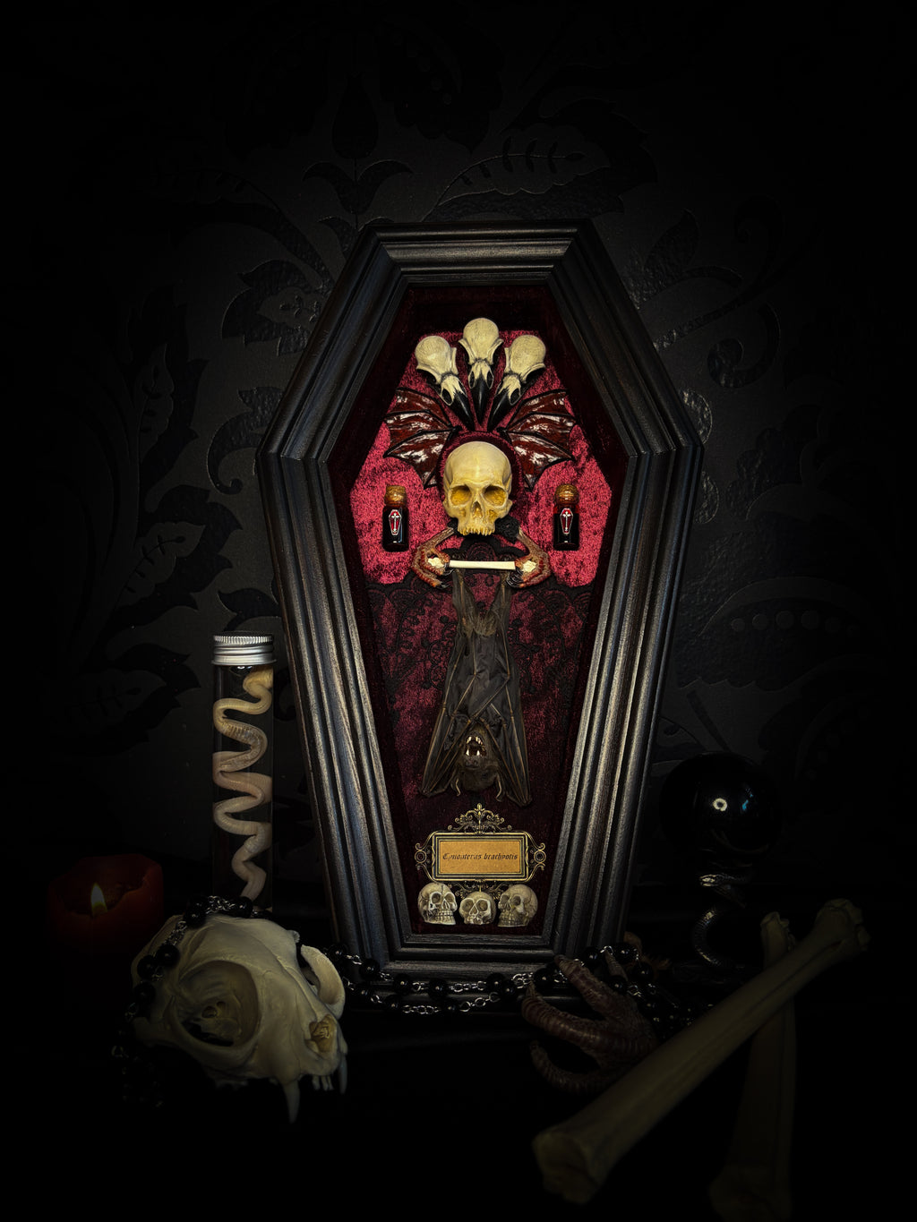 Bat Wooden Coffins — handmade gothic coffin shadowbox, made to order. Handbuilt wooden coffin frame with bat specimen, velvet background, ornate decorations and ritual details. Dark gothic wall and altar decor, made from scratch.