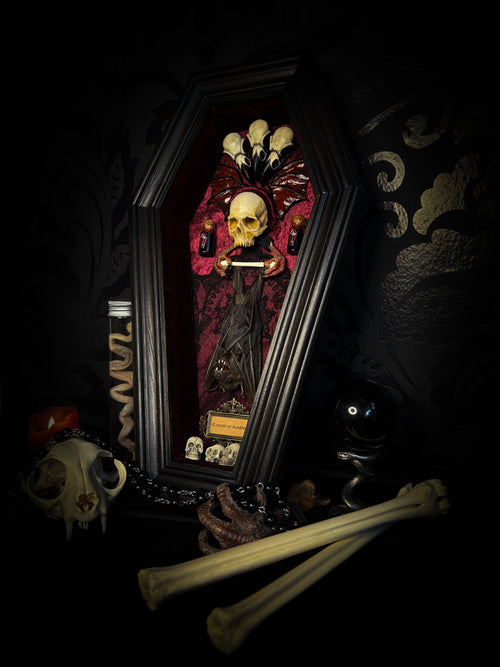 Bat Wooden Coffins — handmade gothic coffin shadowbox, made to order. Handbuilt wooden coffin frame with bat specimen, velvet background, ornate decorations and ritual details. Dark gothic wall and altar decor, made from scratch.