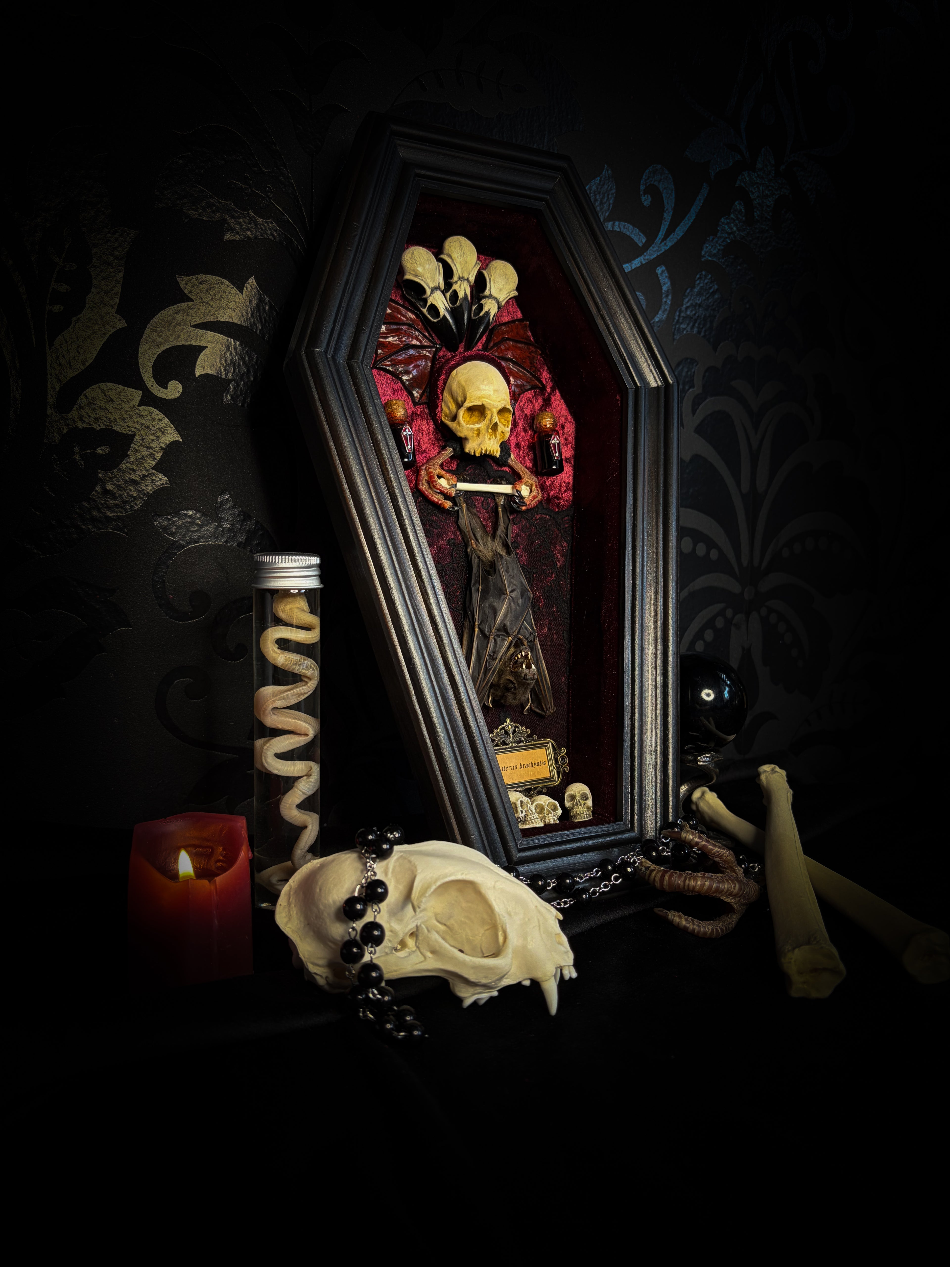 Bat Wooden Coffins — handmade gothic coffin shadowbox, made to order. Handbuilt wooden coffin frame with bat specimen, velvet background, ornate decorations and ritual details. Dark gothic wall and altar decor, made from scratch.
