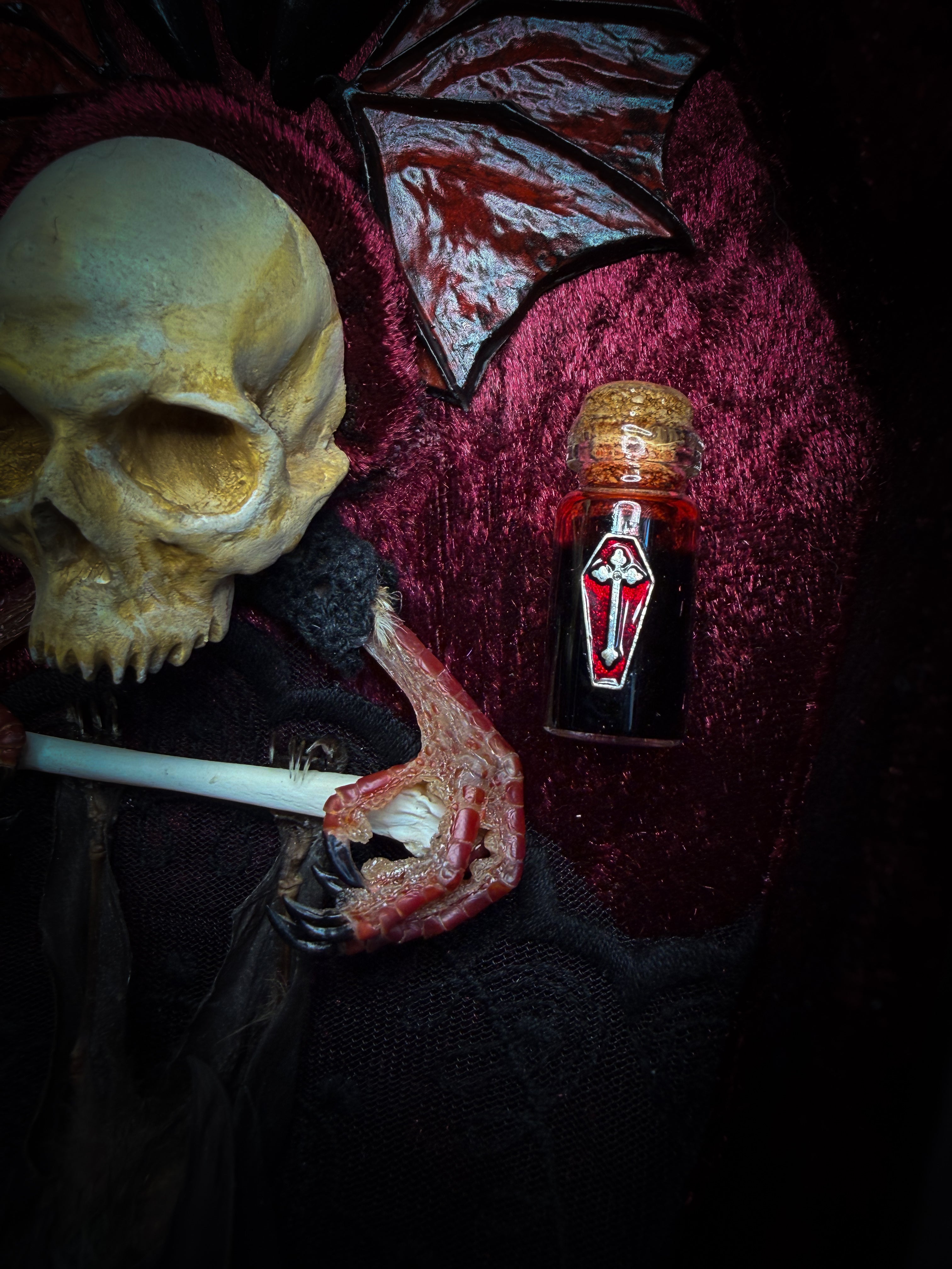 Bat Wooden Coffins — handmade gothic coffin shadowbox, made to order. Handbuilt wooden coffin frame with bat specimen, velvet background, ornate decorations and ritual details. Dark gothic wall and altar decor, made from scratch.