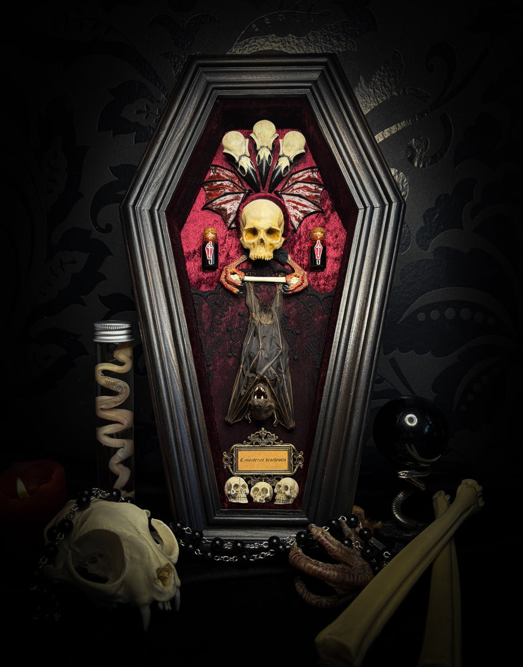 Bat Wooden Coffins — handmade gothic coffin shadowbox, made to order. Handbuilt wooden coffin frame with bat specimen, velvet background, ornate decorations and ritual details. Dark gothic wall and altar decor, made from scratch.