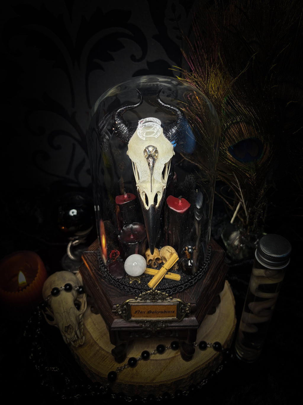 Nox Solitudinis — handmade gothic display with crow skull, hand-carved horns, crystal orb, vampire candles, wax rose and black iridescent sand. Morbid Oddities.