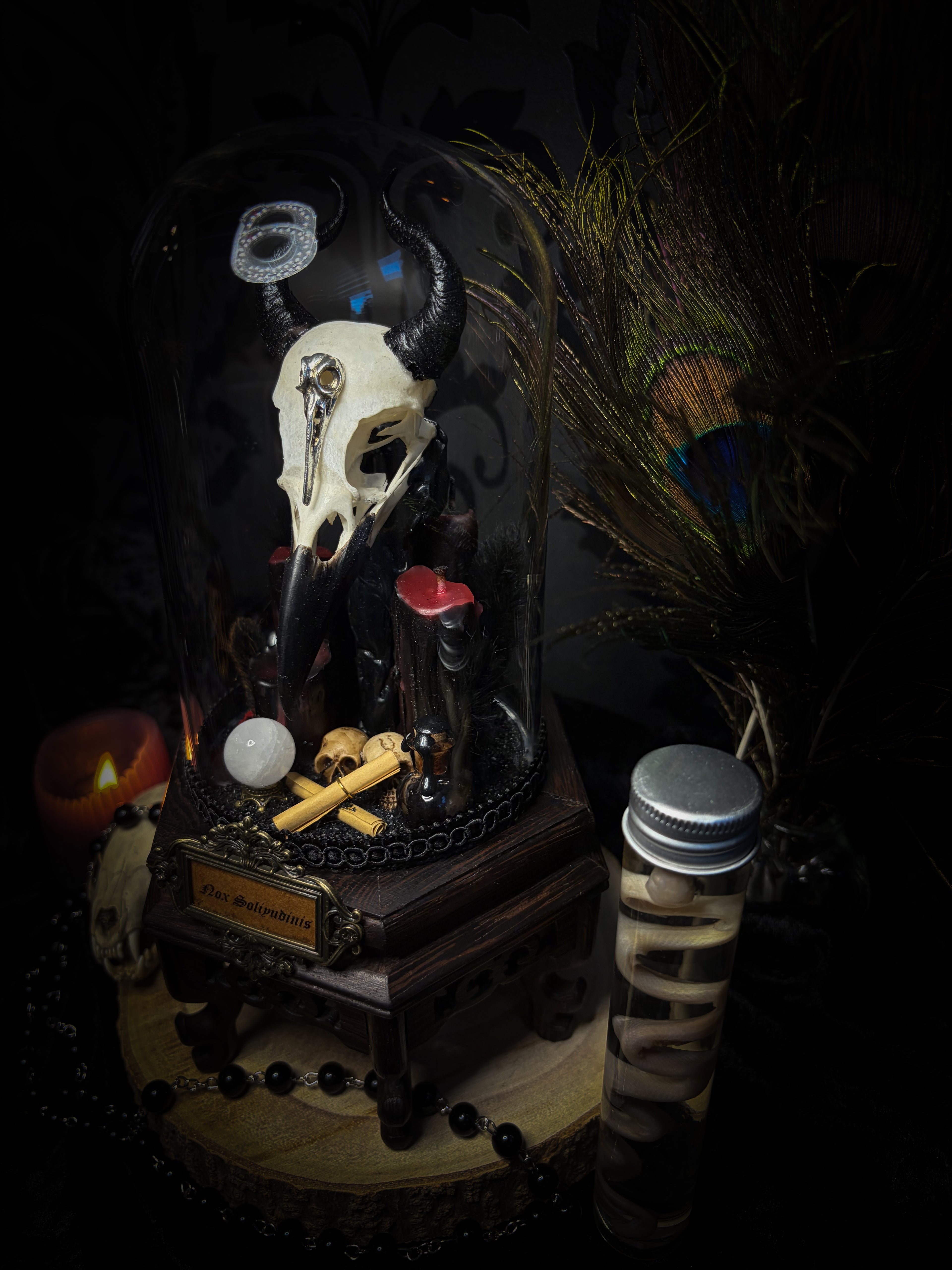 Nox Solitudinis — handmade gothic display with crow skull, hand-carved horns, crystal orb, vampire candles, wax rose and black iridescent sand. Morbid Oddities.