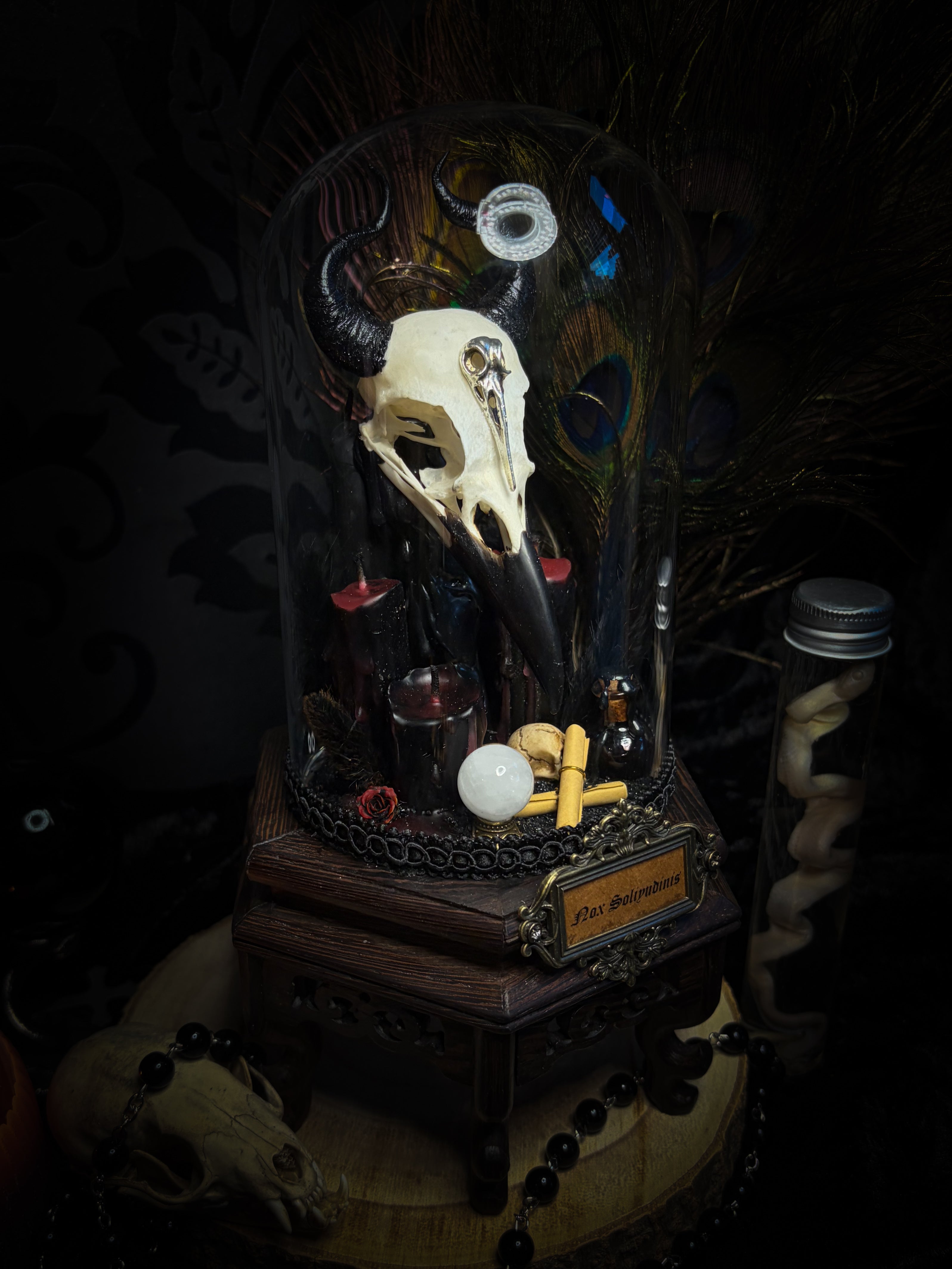Nox Solitudinis — handmade gothic display with crow skull, hand-carved horns, crystal orb, vampire candles, wax rose and black iridescent sand. Morbid Oddities.