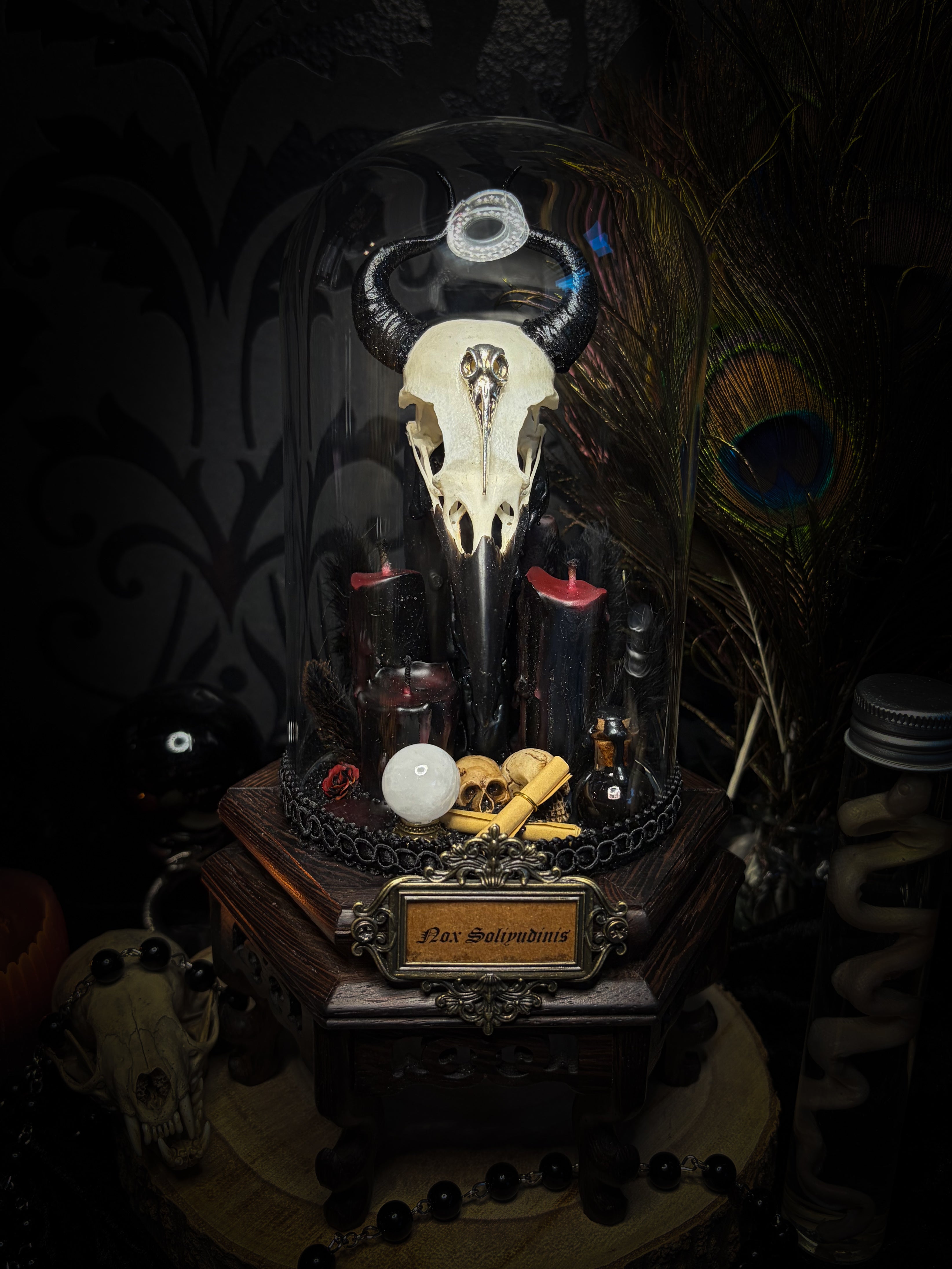 Nox Solitudinis — handmade gothic display with crow skull, hand-carved horns, crystal orb, vampire candles, wax rose and black iridescent sand. Morbid Oddities.
