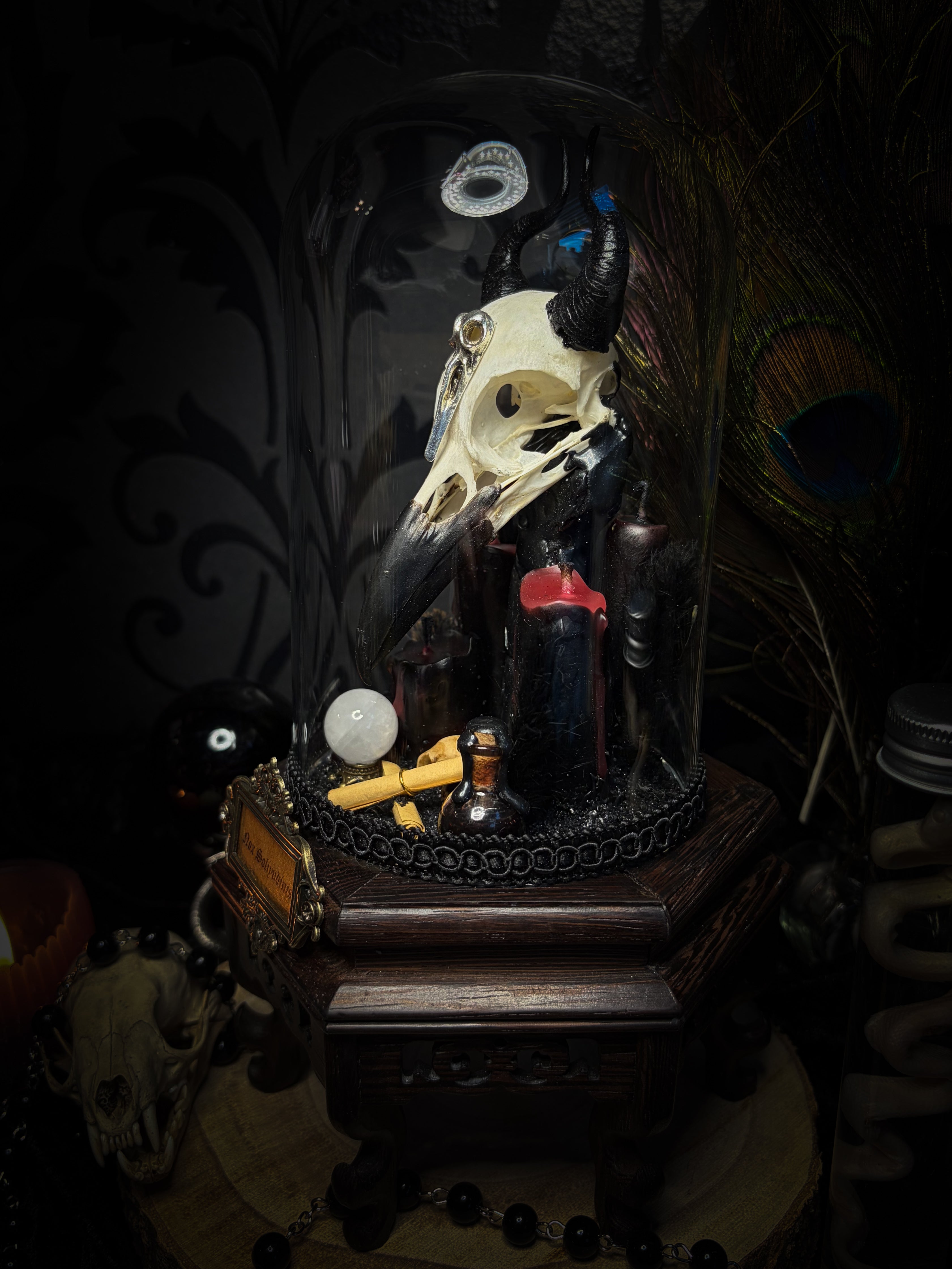 Nox Solitudinis — handmade gothic display with crow skull, hand-carved horns, crystal orb, vampire candles, wax rose and black iridescent sand. Morbid Oddities.