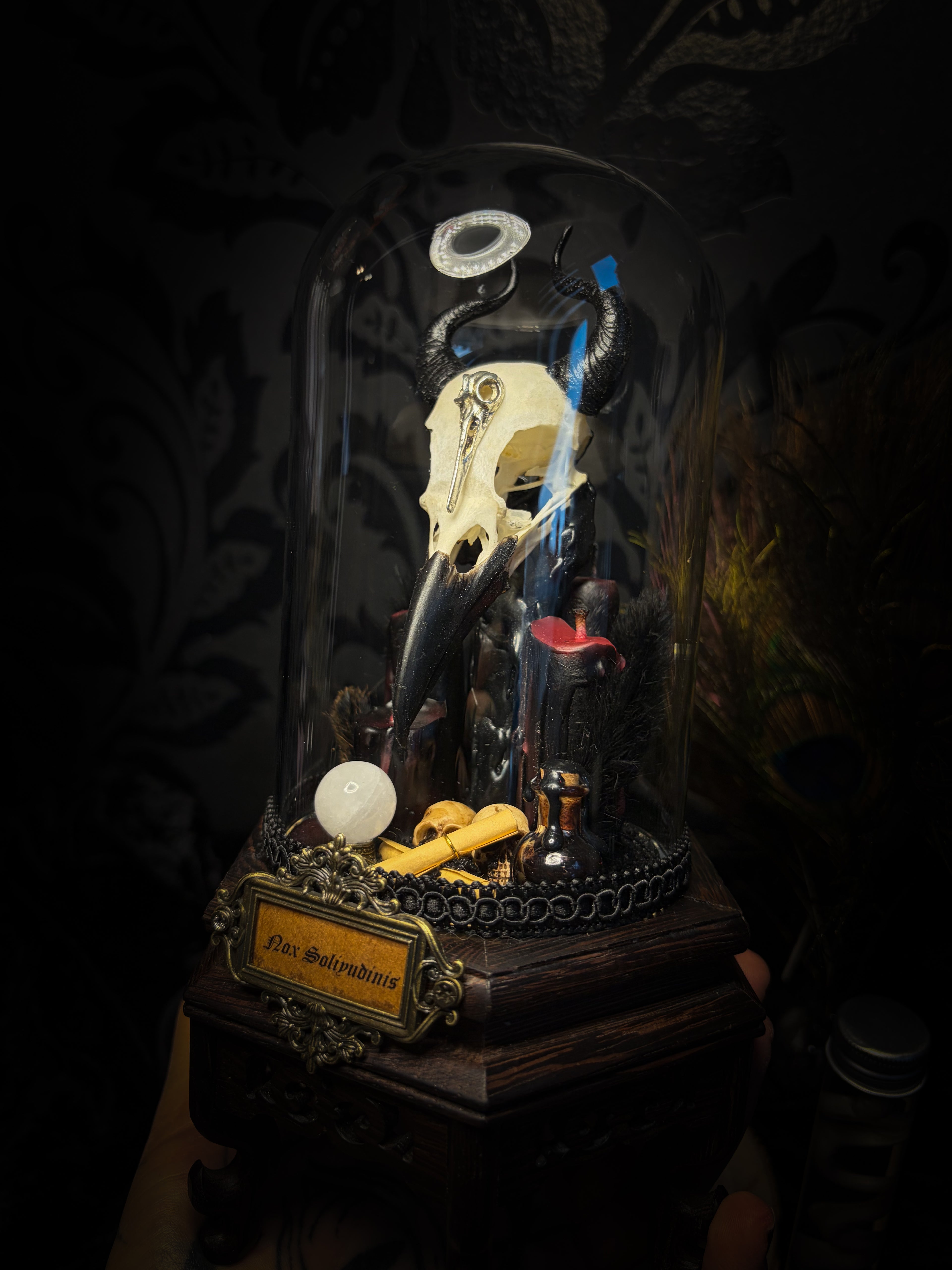 Nox Solitudinis — handmade gothic display with crow skull, hand-carved horns, crystal orb, vampire candles, wax rose and black iridescent sand. Morbid Oddities.