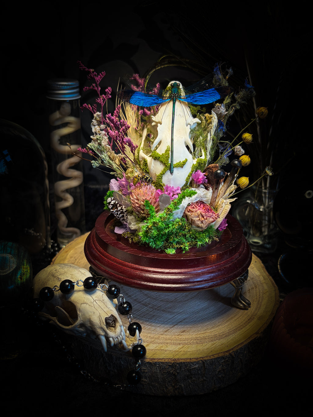 Fugax Prati Memoria — handmade glass dome with rabbit skull, demoiselle, wasp, snake skin, moss and dried flowers — Morbid Oddities