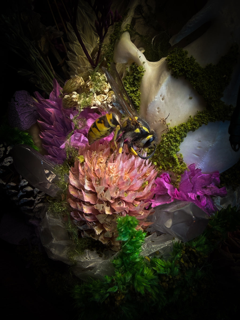 Fugax Prati Memoria — handmade glass dome with rabbit skull, demoiselle, wasp, snake skin, moss and dried flowers — Morbid Oddities