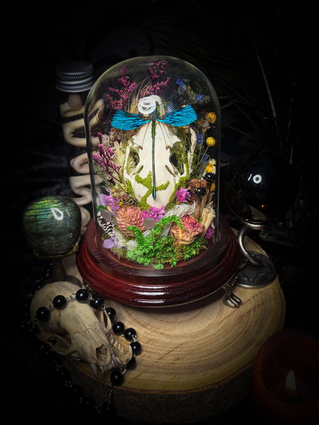 Fugax Prati Memoria — handmade glass dome with rabbit skull, demoiselle, wasp, snake skin, moss and dried flowers — Morbid Oddities