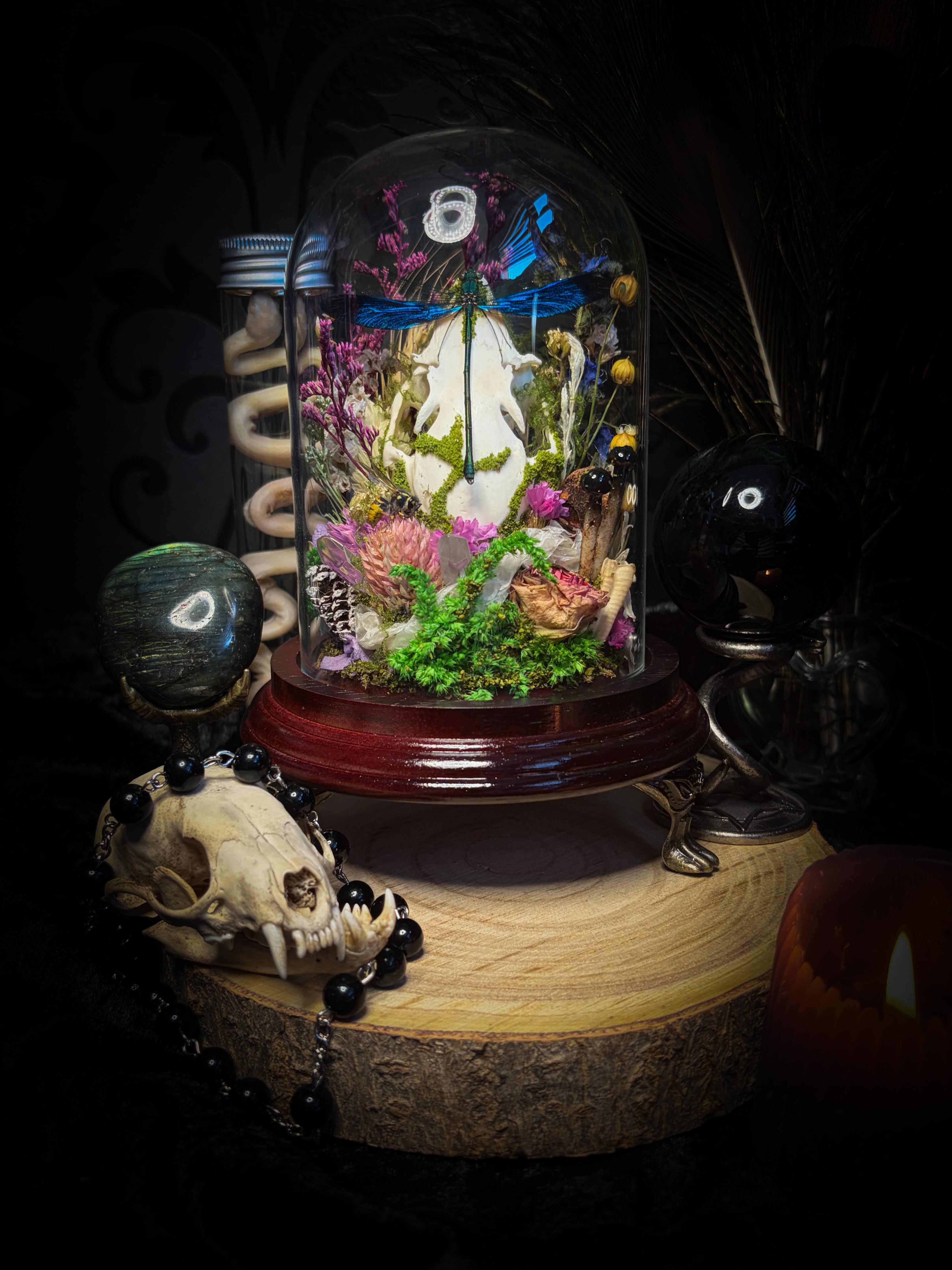 Fugax Prati Memoria — handmade glass dome with rabbit skull, demoiselle, wasp, snake skin, moss and dried flowers — Morbid Oddities