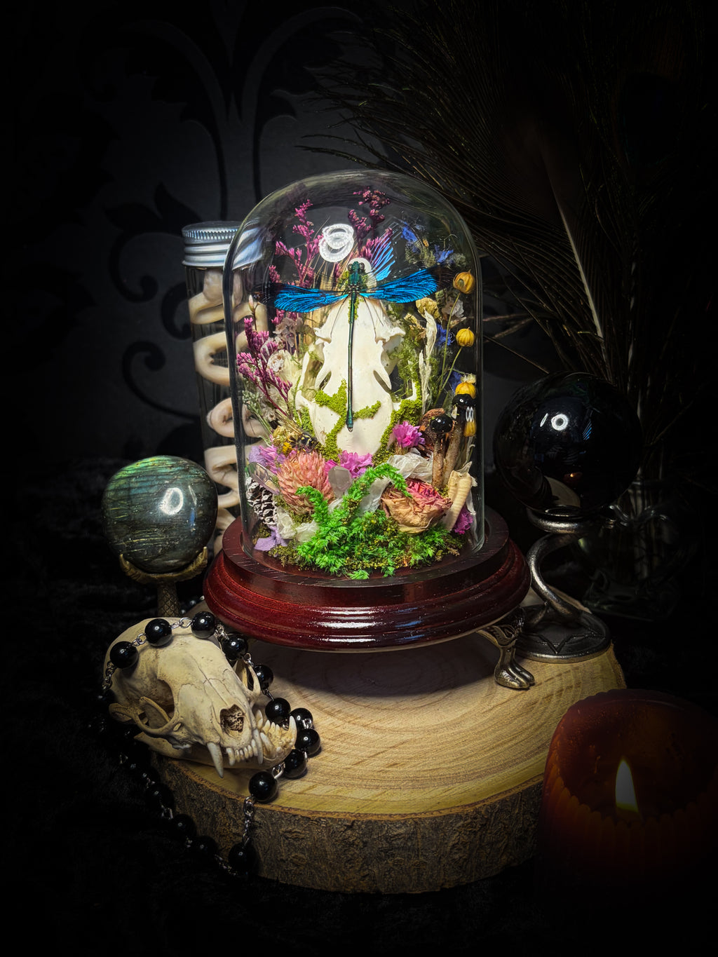Fugax Prati Memoria — handmade glass dome with rabbit skull, demoiselle, wasp, snake skin, moss and dried flowers — Morbid Oddities
