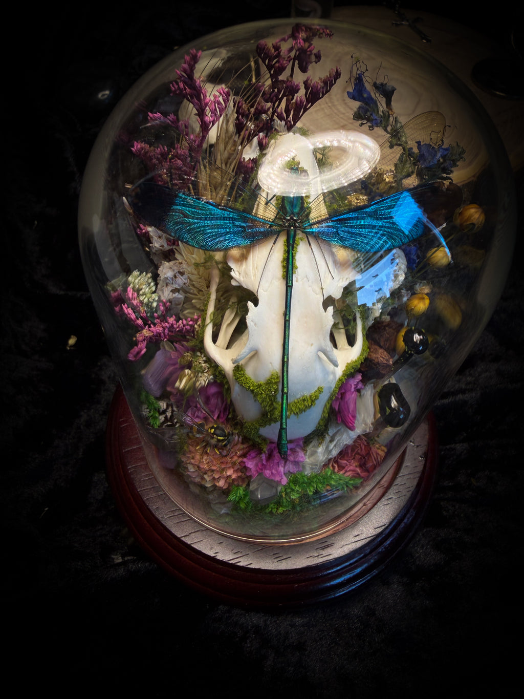 Fugax Prati Memoria — handmade glass dome with rabbit skull, demoiselle, wasp, snake skin, moss and dried flowers — Morbid Oddities